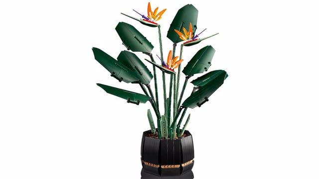 LEGO Creator Expert Bird of Paradise 10289 Erwachsene Kunstpflanzen Blumen Geschenkidee, ab 18 Jahren