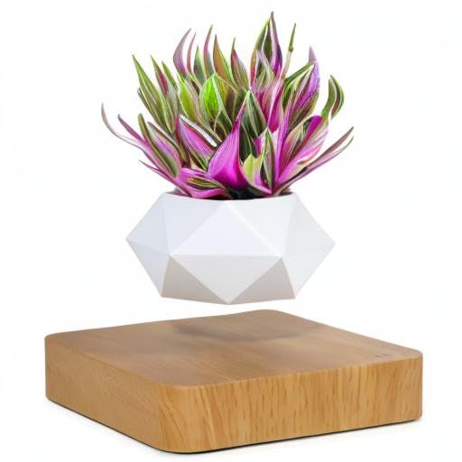 Schwebender Bonsaitopf, rotierender Blumentopf, magnetische Schwebeaufhängung, schwimmender Topf, Topfpflanze, Schreibtischdekoration in Blumentöpfen und Pflanzgefäßen von Haus Garten (helle Farbe)