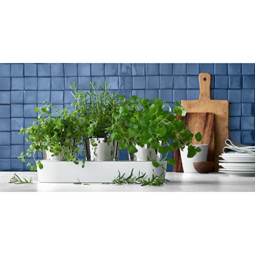 WMF Gourmet Kräutertopf mit Bewässerungssystem 3-teilig, Kräutergarten für die Küche, 36x 12,5X 12,5 cm, für frische Küchenkräuter, Blumentopf weiß