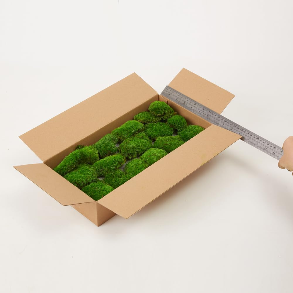 Prefleur konservierte Pflanzen Stange Mooskissen Dutt Kissen Natur Grün Dekorativ Echt Natur Grün DIY Kit Terrarien Gartenarbeit Kunst Wanddekoration Florist Dekor (Green-d, 1.5 sq.ft.)