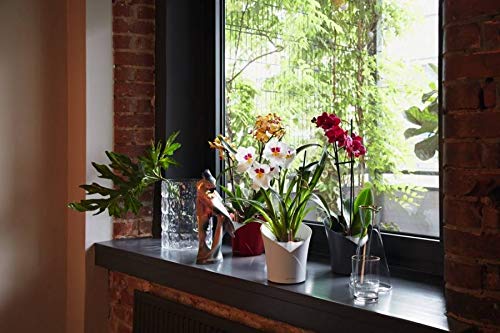 LECHUZA ORCHIDEA weiß matt 13960