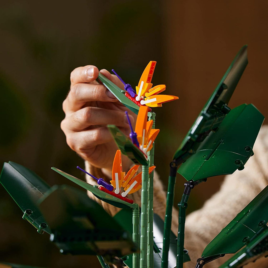 LEGO Creator Expert Bird of Paradise 10289 Erwachsene Kunstpflanzen Blumen Geschenkidee, ab 18 Jahren