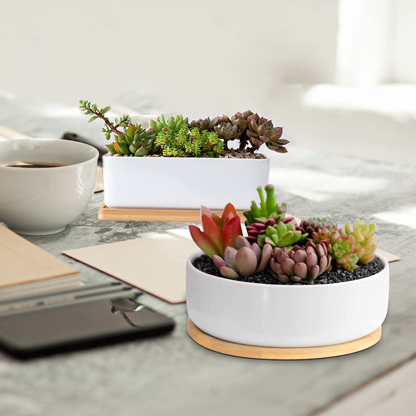 Weiße Keramik Sukkulenten Blumentöpfe, ARVINKEY 1 rechteckiger Blumentopf + 1 runder Übertopf, 2er Set kleine Kaktusbehälter, Bonsai-Töpfe, Blumentöpfe mit Abflusslöchern Bambus-Tablett (ohne Pflanze)
