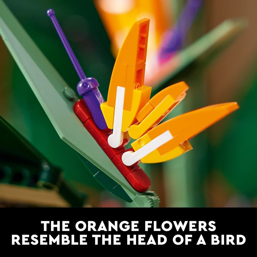 LEGO Creator Expert Bird of Paradise 10289 Erwachsene Kunstpflanzen Blumen Geschenkidee, ab 18 Jahren