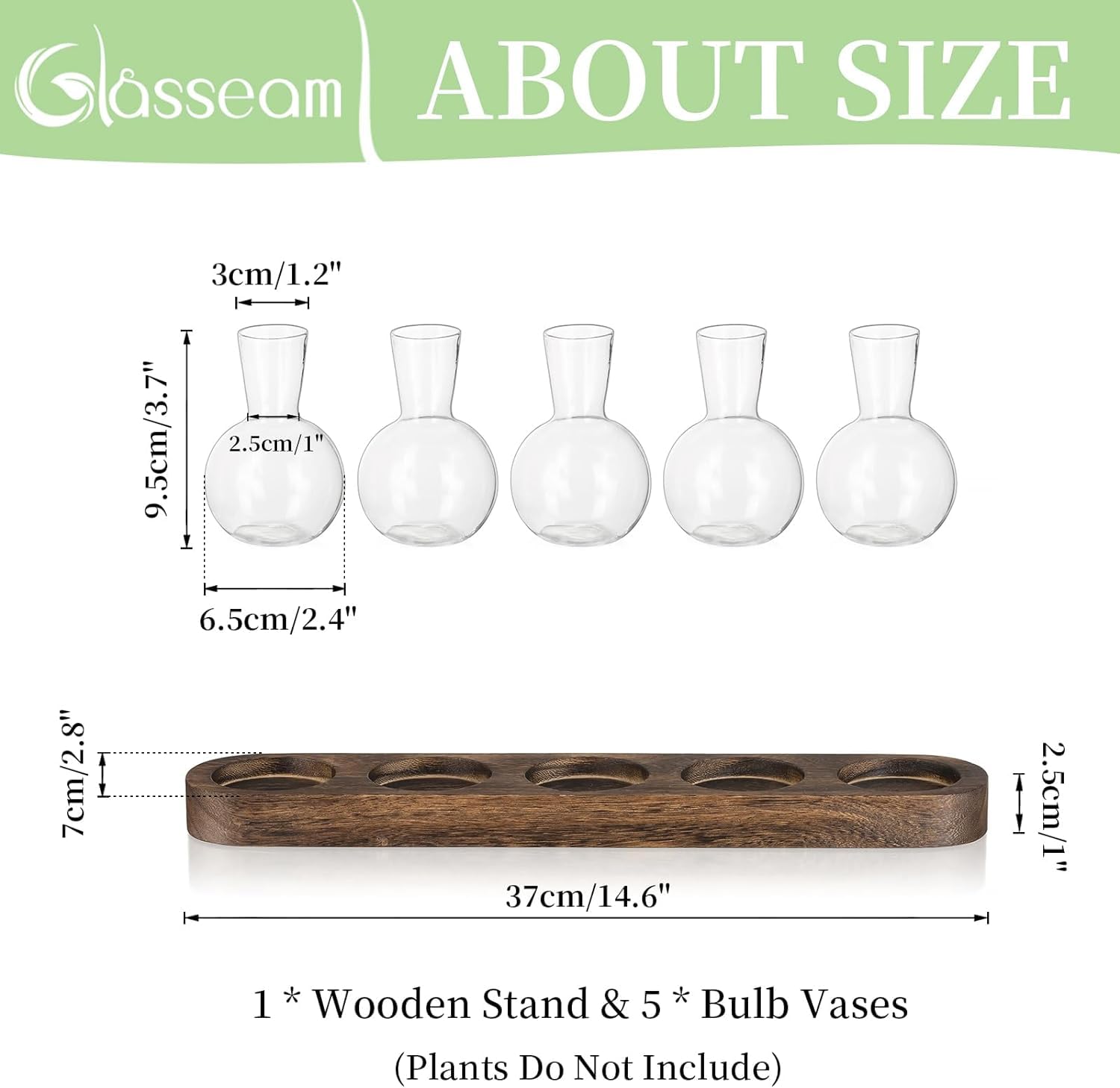 Glasseam Pflanzen Terrarium Glas Vasen, Propagation Station Glasvase Klein Blumenvasen Set, Hydrokultur Vase mit Hölzernen Tablett, Desktop Deko Vasen Glasterrarium Hydrovase für Wohnzimmer Büro Deko