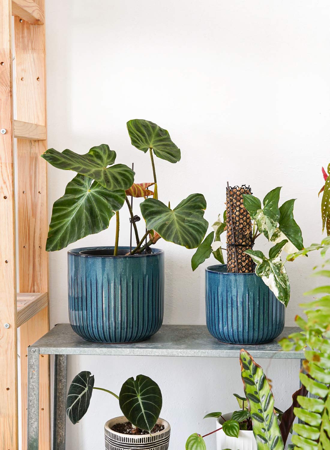 LE TAUCI 3er Set Blumentopf Keramik, 21+17+14 cm Durchmesser Ubertopf für Zimmerpflanzen, Pflanzkübel mit Drainagelöchern, Mittelgroßer Zylinder Ubertopf, Glasur Ozeanblau