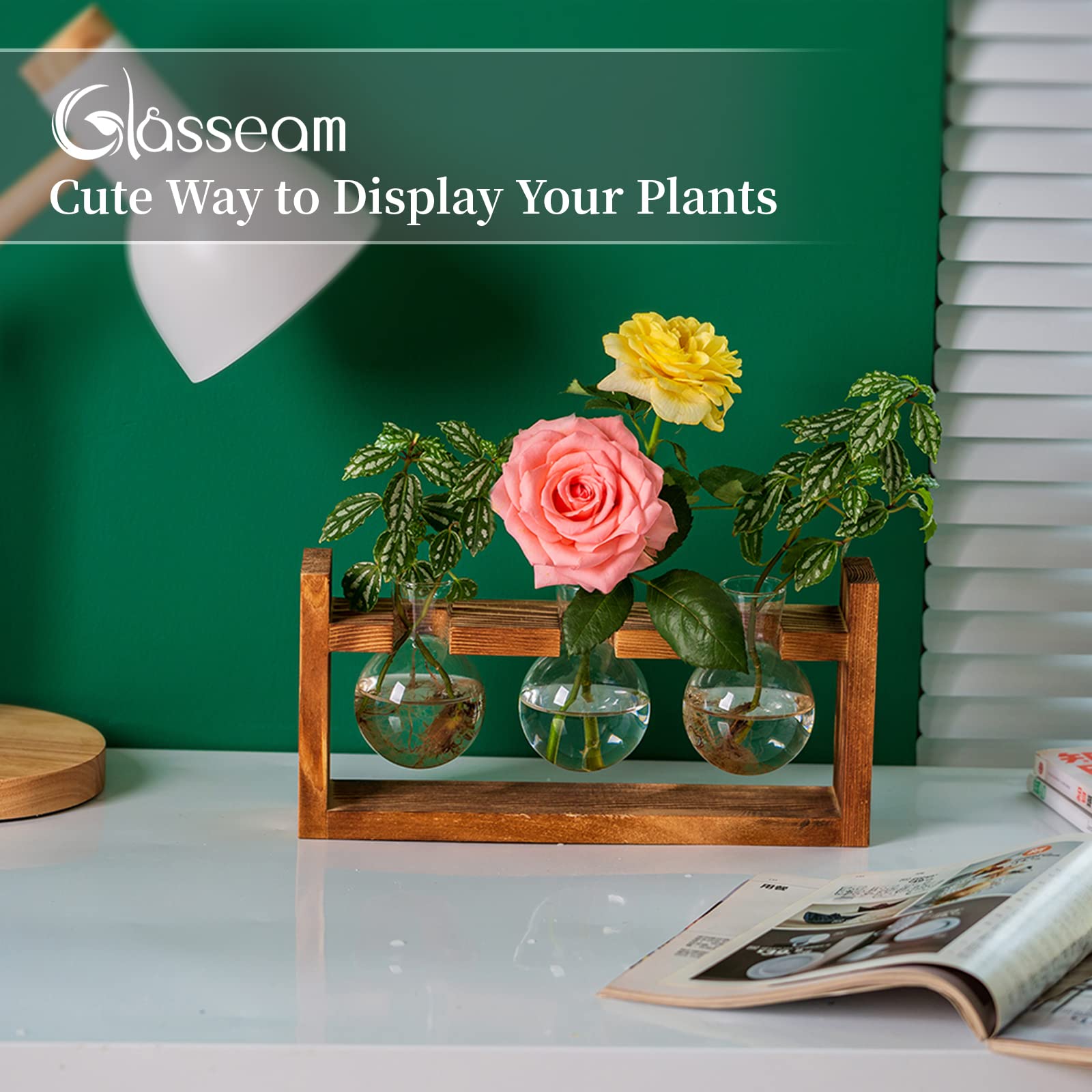 Glasseam Vintage Blomstervase, Små Vaser til Borddekoration, Moderne Glasreagensglas til Blomster med Stativ, Træformeringsstation til Stue, Udendørs, Dåb, Fødselsdag, Hydroponisk Dekoration