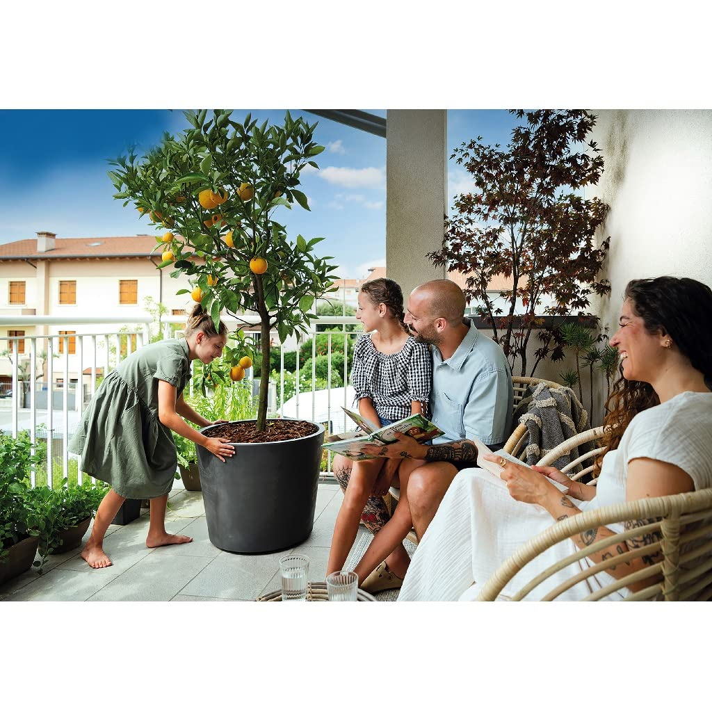 Kreher XXL Pflanzkübel Millennium mit rollbarer Plattform und einem Volumen von 80 Liter! Tolle Naturstein Optik in Braun oder Anthrazit! Maße: 59 x 49 cm (ØxH) (Anthrazit)