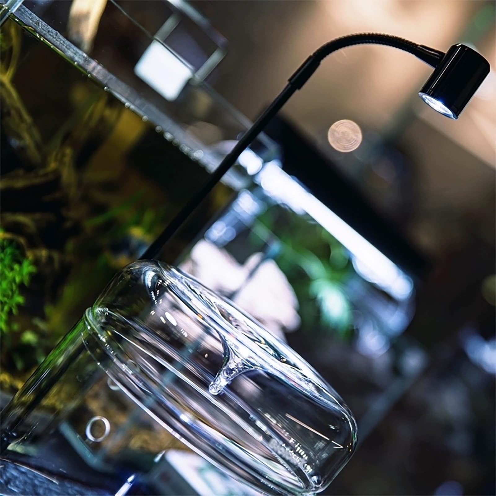 Glas Pflanzen Terrarium 12 x 17.5cm Zoll Sukkulenten Luftplanter Farn Moos Micro-Landschaft Vase für die Dekoration von Zuhause Büro Tischplatte Container mit Deckel Indoor (mit Licht)