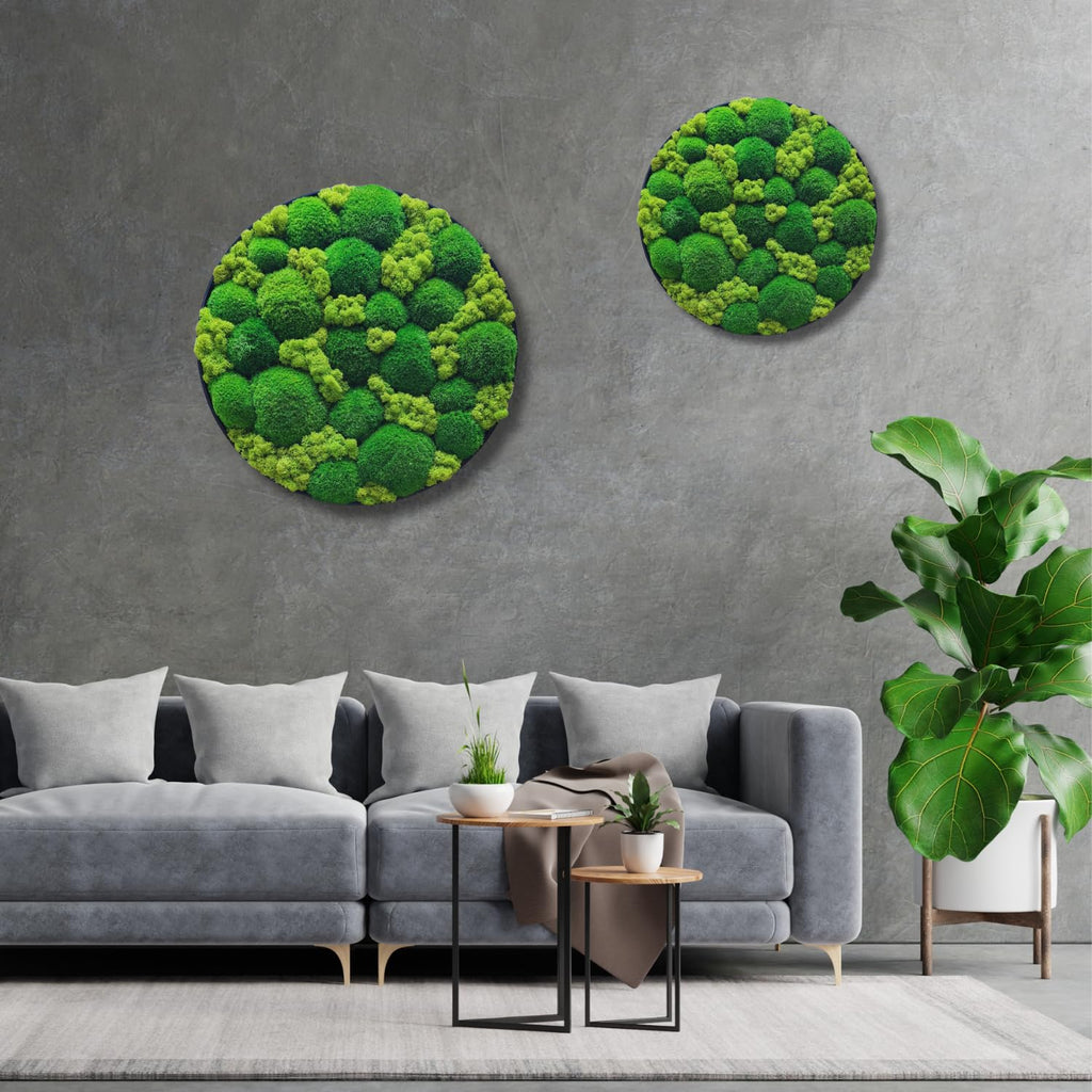 HelloMoss Moosbild mit Rahmen Rund – Wanddeko aus stabilisiertem Moos | Metallrahmen schwarz/weiß | 40/50/60 cm | Naturbild ohne Pflege | Dekoration für Büro & Zuhause (Weiß, 60 cm, Metall)