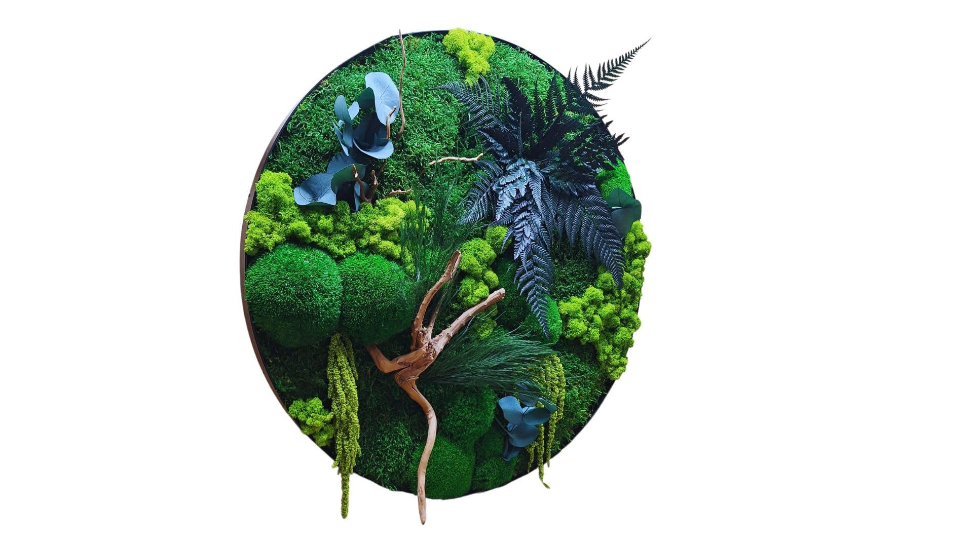 HelloMoss Moosbilder mit Rahmen 60cm - Moosbild XXL mit Island Moos Konserviert - Luxus Deko für Ihr Zuhause - Mooswand Deko Wohnzimmer Groß