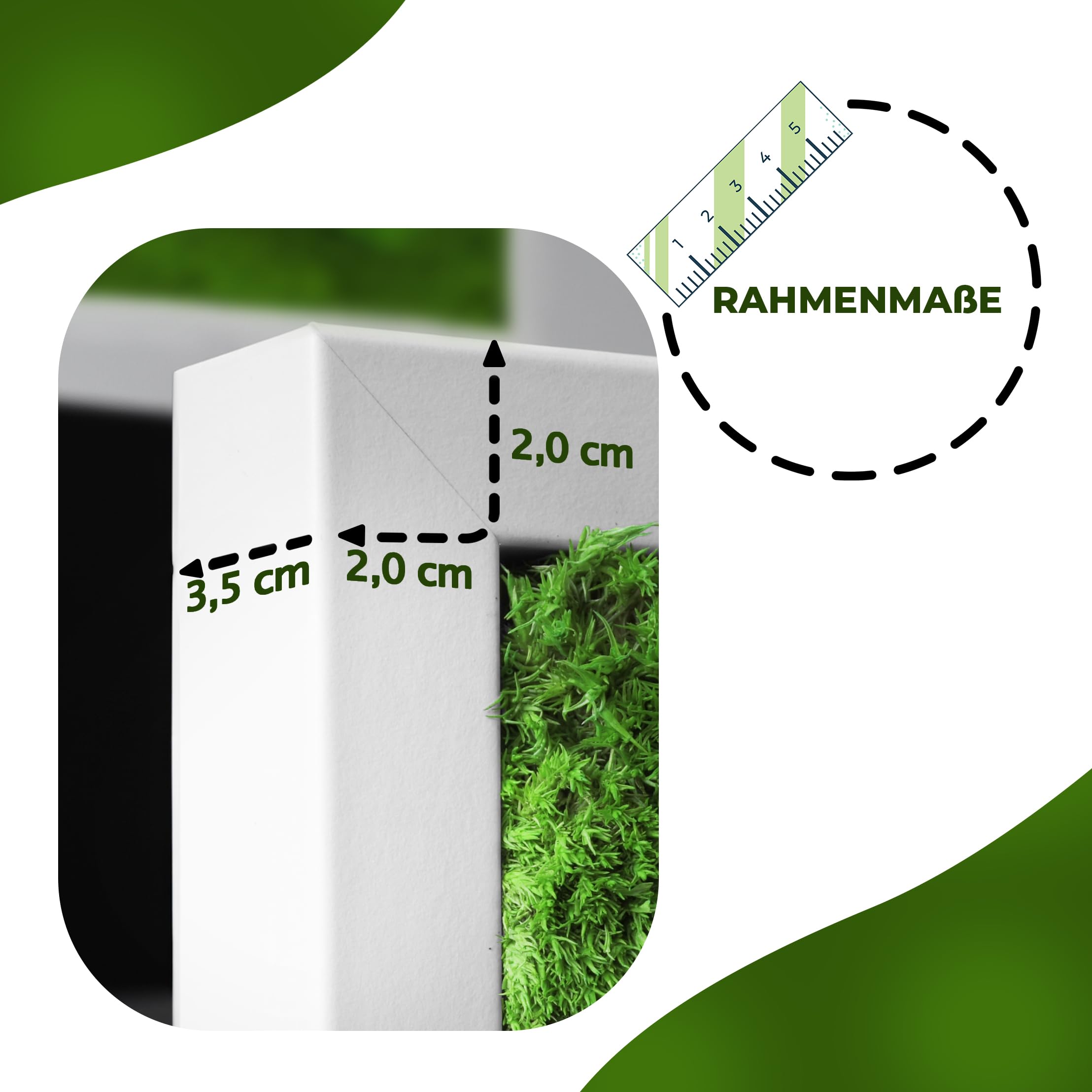 Moosbild Pflanzenbild mit Kugelmoos und Flachmoos versch. Maße günstig (Schwarz, 60x30 cm)