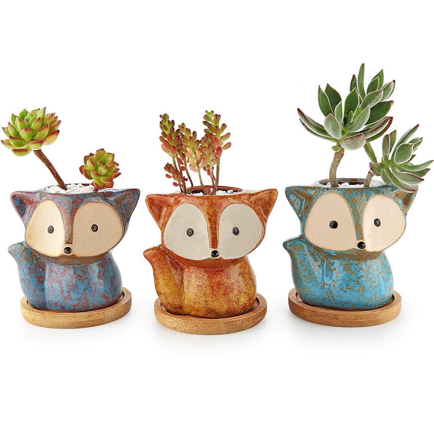 T4U Fuchs Sukkulenten Töpfe Keramik mit Untersetzer 3er-Set Blumentopf Klein für Mini-Pflanzen