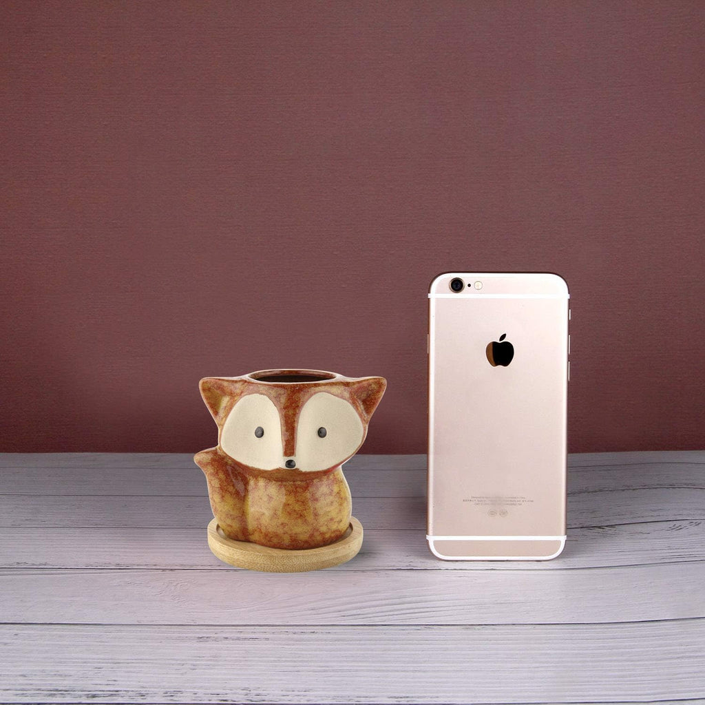 T4U Fuchs Sukkulenten Töpfe Keramik mit Untersetzer 3er-Set Blumentopf Klein für Mini-Pflanzen