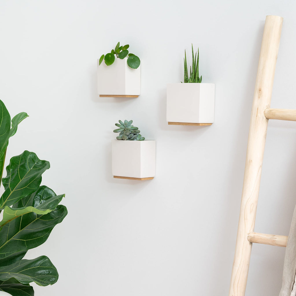 Kazai. Wandvasen -Alma- | Moderne Hängende Blumentöpfe für die Wand | 3-teiliges Übertopf-Set aus hochwertigem Resin für Zimmerpflanzen, Kunstpflanzen, Blumen u.m. | Crème