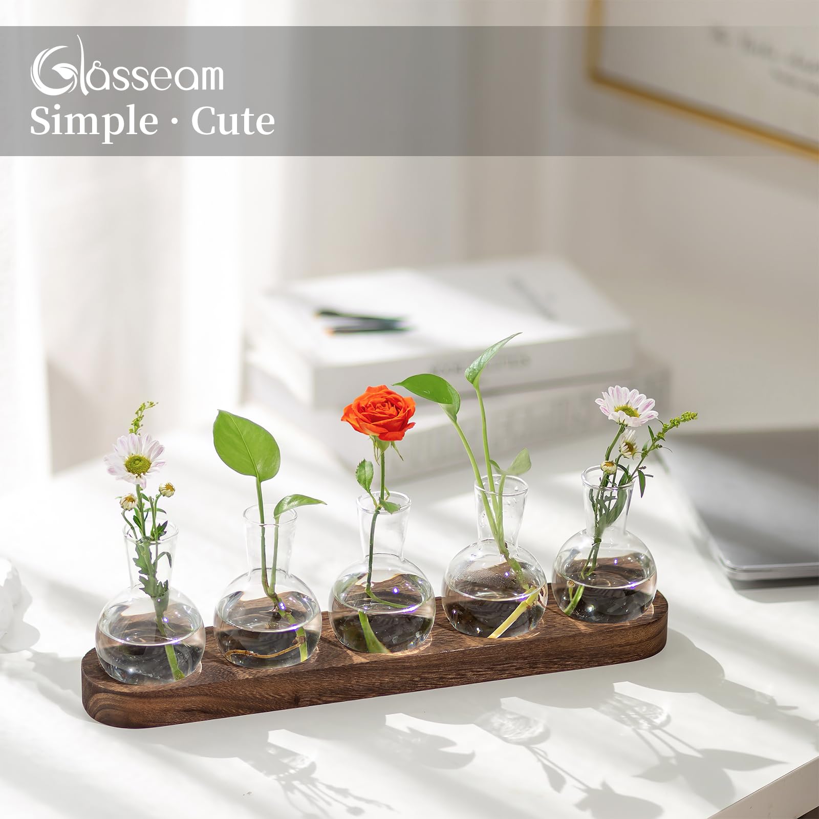 Glasseam Pflanzen Terrarium Glas Vasen, Propagation Station Glasvase Klein Blumenvasen Set, Hydrokultur Vase mit Hölzernen Tablett, Desktop Deko Vasen Glasterrarium Hydrovase für Wohnzimmer Büro Deko