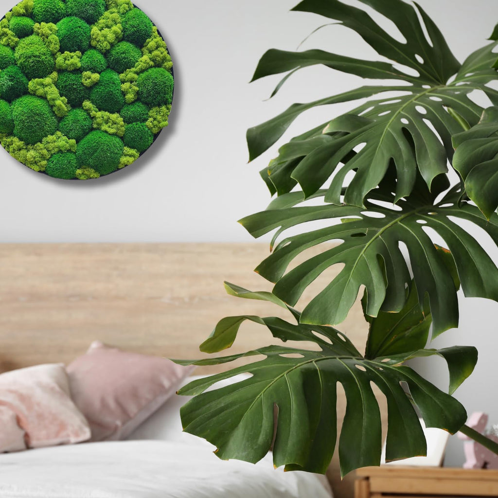 HelloMoss Moosbild mit Rahmen Rund – Wanddeko aus stabilisiertem Moos | Metallrahmen schwarz/weiß | 40/50/60 cm | Naturbild ohne Pflege | Dekoration für Büro & Zuhause (Weiß, 60 cm, Metall)