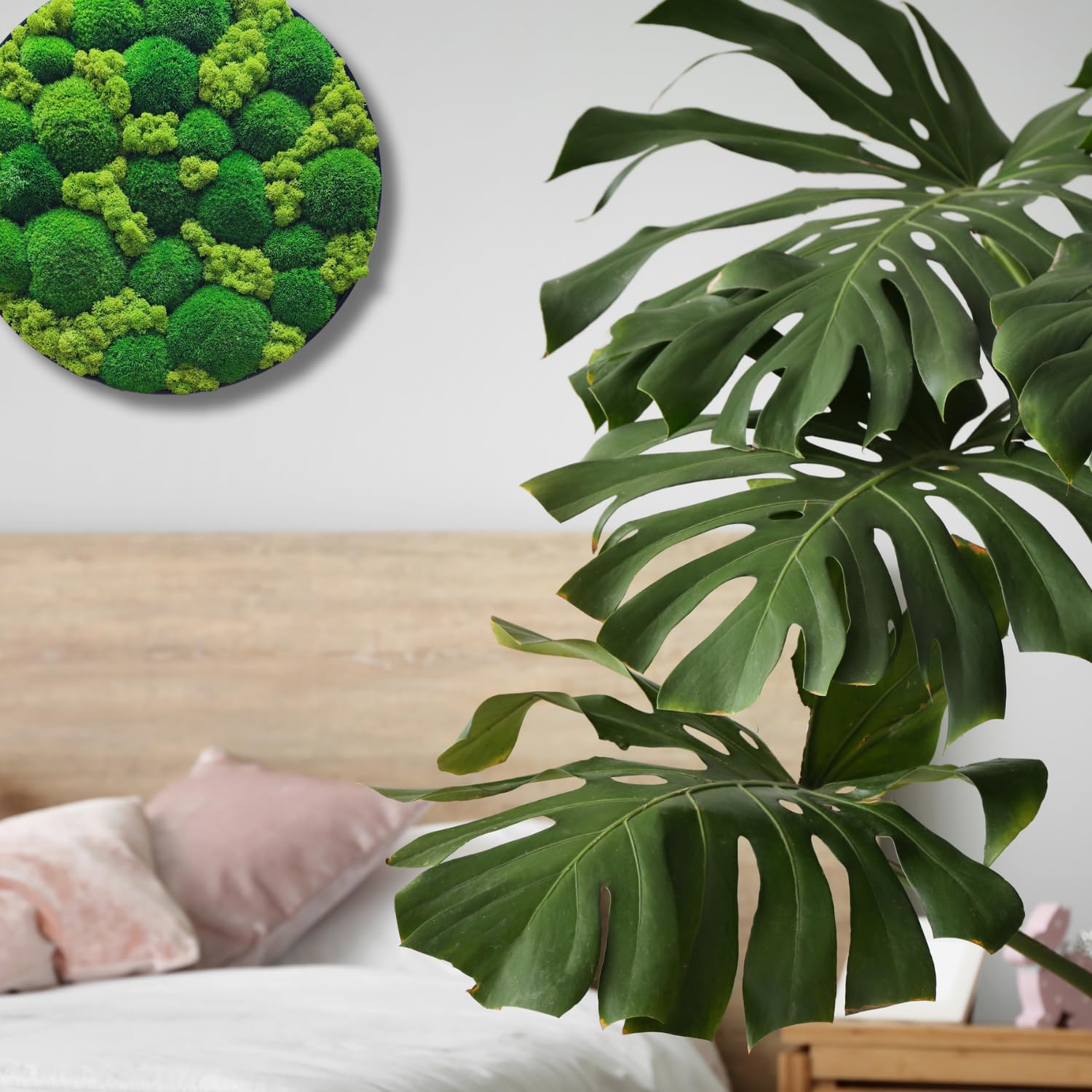 HelloMoss Moosbild mit Rahmen Rund – Wanddeko aus stabilisiertem Moos | Metallrahmen schwarz/weiß | 40/50/60 cm | Naturbild ohne Pflege | Dekoration für Büro & Zuhause (Weiß, 60 cm, Metall)