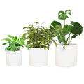 Fox&Fern Übertopf Set S/M/L - Blumentöpfe Gross inkl. Wasserabfluss - Blumentopf hoch - Übertöpfe für Zimmerpflanzen - Blumentopf 30cm Durchmesser - Pflanzentöpfe groß - Plant Pot - Blumentopf weiß