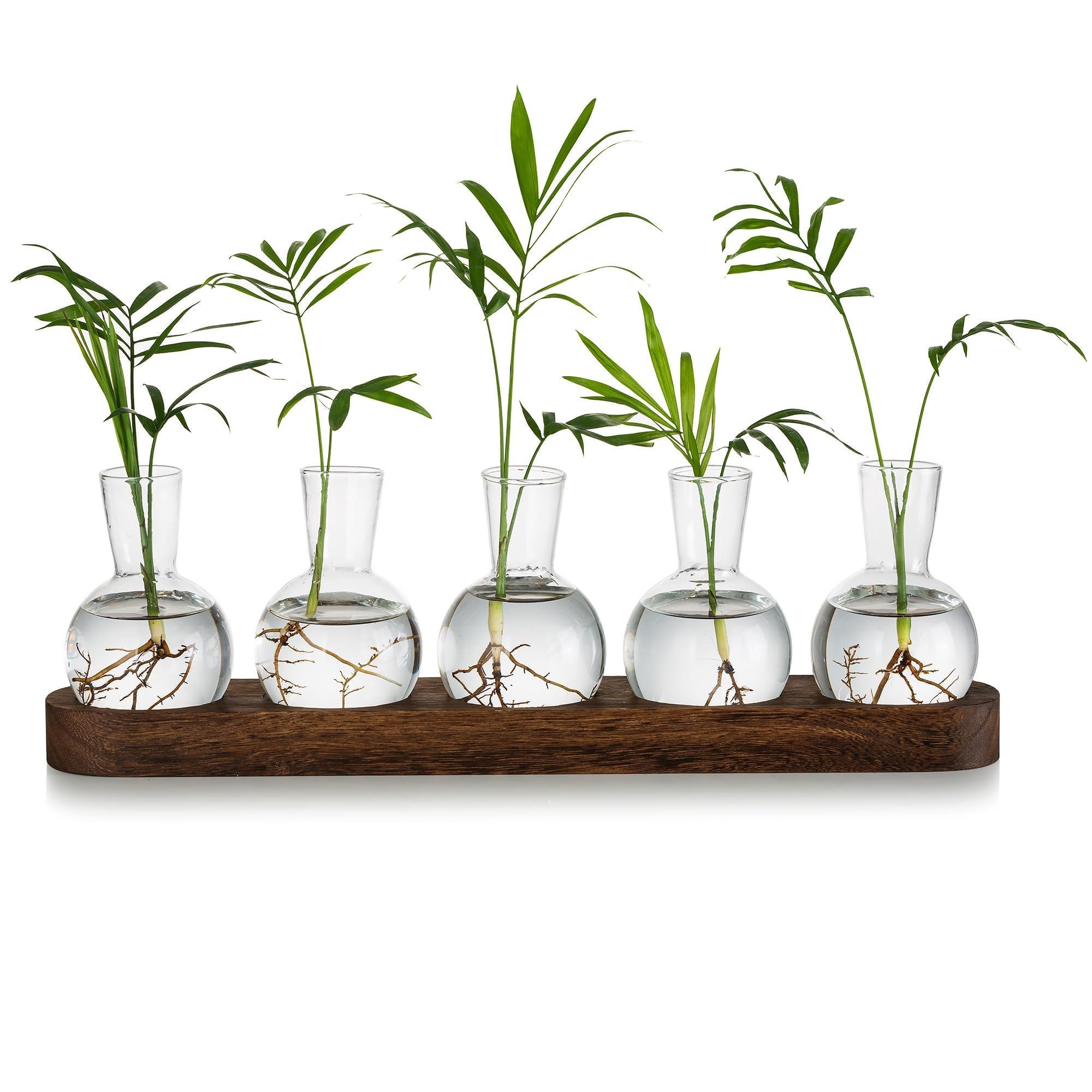 Glasseam Pflanzen Terrarium Glas Vasen, Propagation Station Glasvase Klein Blumenvasen Set, Hydrokultur Vase mit Hölzernen Tablett, Desktop Deko Vasen Glasterrarium Hydrovase für Wohnzimmer Büro Deko