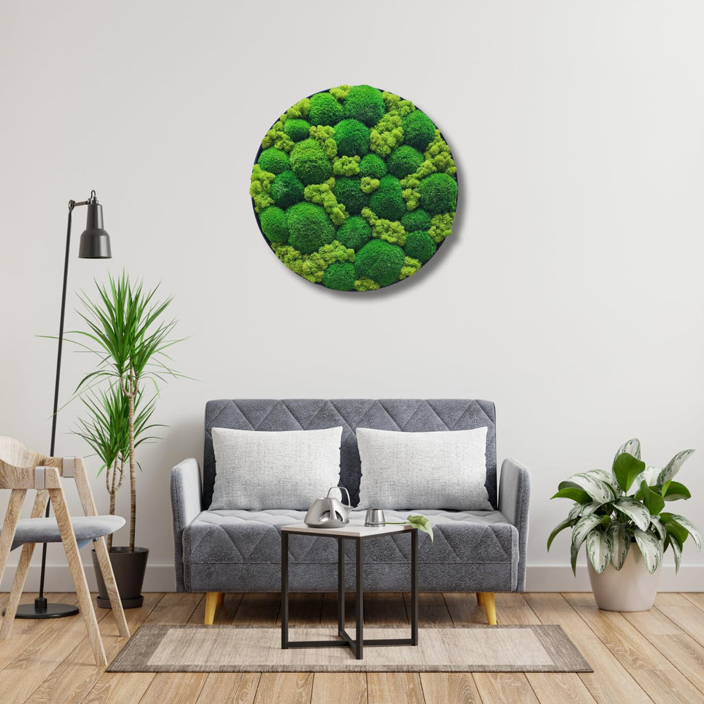 HelloMoss Moosbild mit Rahmen Rund – Wanddeko aus stabilisiertem Moos | Metallrahmen schwarz/weiß | 40/50/60 cm | Naturbild ohne Pflege | Dekoration für Büro & Zuhause (Weiß, 60 cm, Metall)