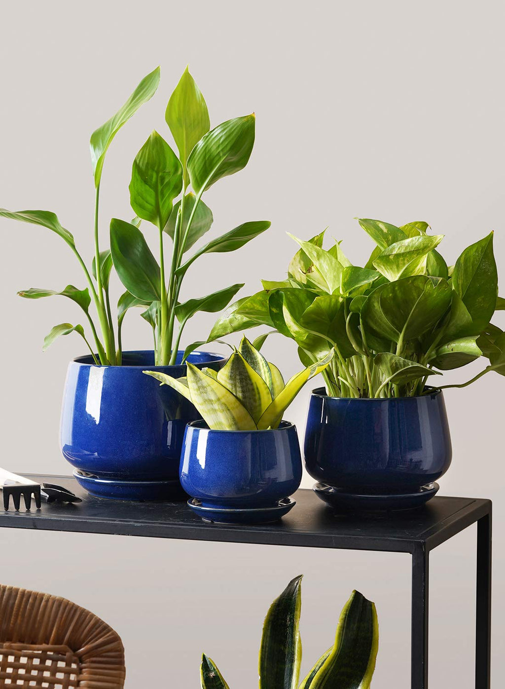 LE TAUCI 3er Set Keramik Blumentöpfe, 10/13/16 cm Durchmesser Klein Blumentöpfe Set, Übertöpfe für Zimmerpflanzen, Pflanztöpfe mit Untersetzer und Abflussloch, Schatz Blau