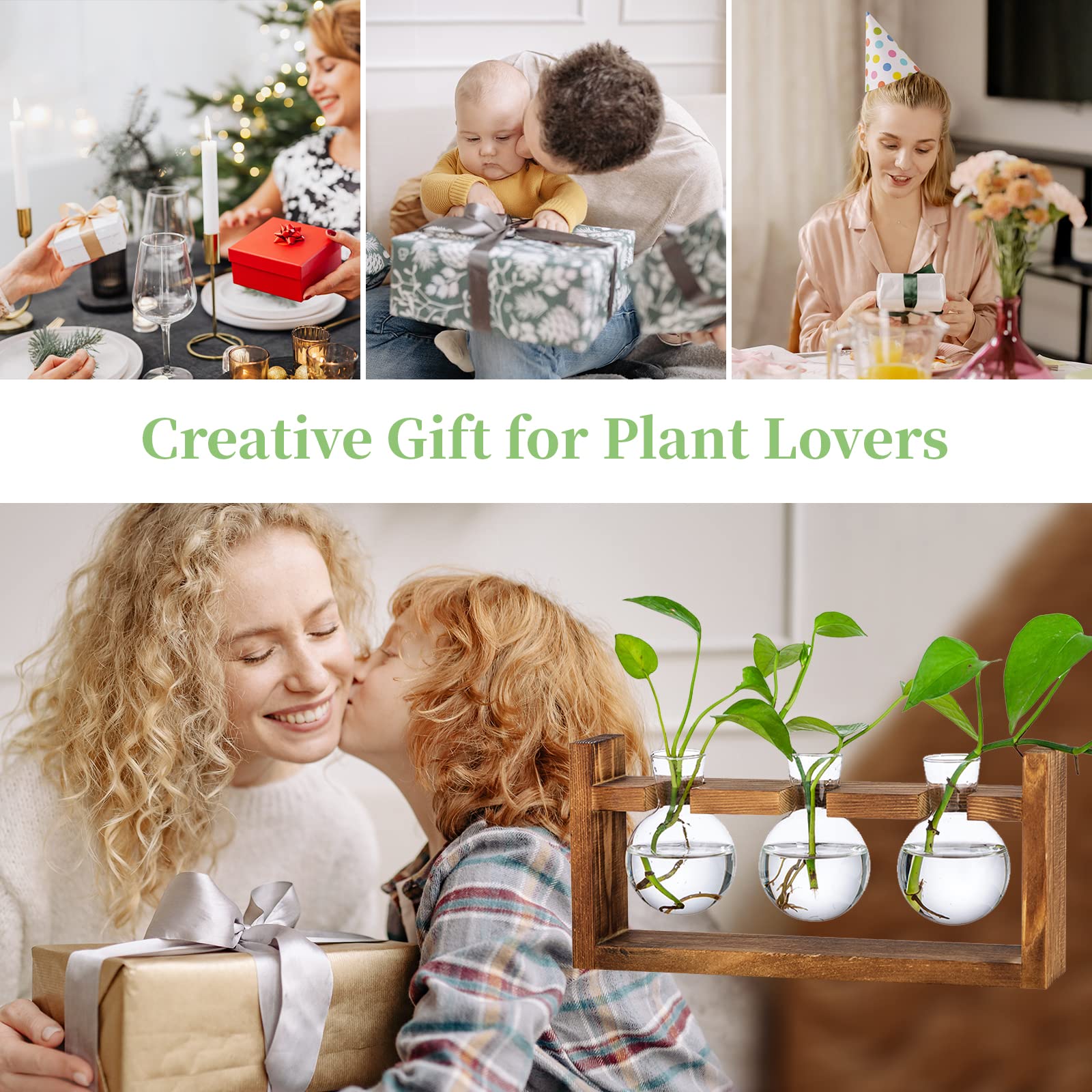 Glasseam Vintage Blomstervase, Små Vaser til Borddekoration, Moderne Glasreagensglas til Blomster med Stativ, Træformeringsstation til Stue, Udendørs, Dåb, Fødselsdag, Hydroponisk Dekoration