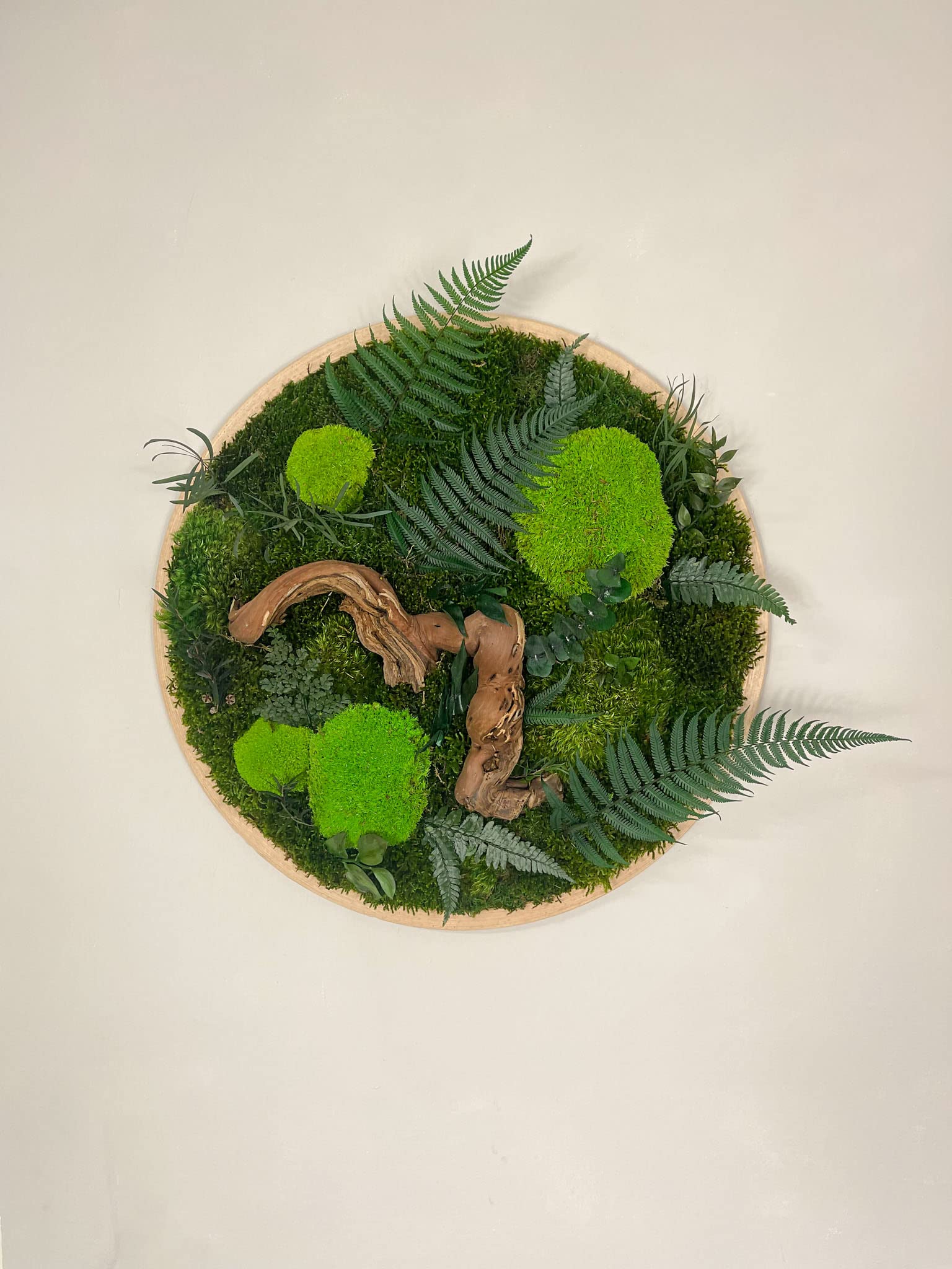 Großer Dschungel Moosbild Rund Holz Rahmen Kreis Gedankenwunder Manufaktur
