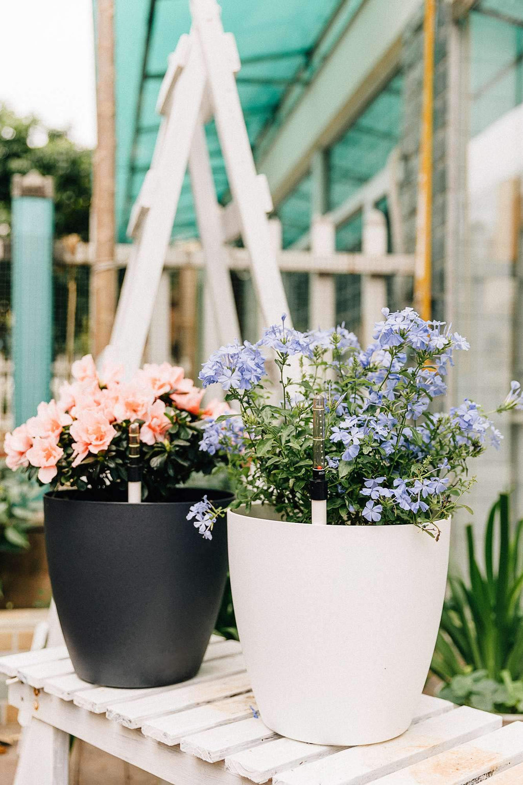 T4U 22cm Selbstwässernder Blumentopf mit Wasseranzeiger Weiß 4er-Set, Selbstbewässerung Wasserspeicher Pflanzgefäß Übertopf für Innen- und Außenbereich