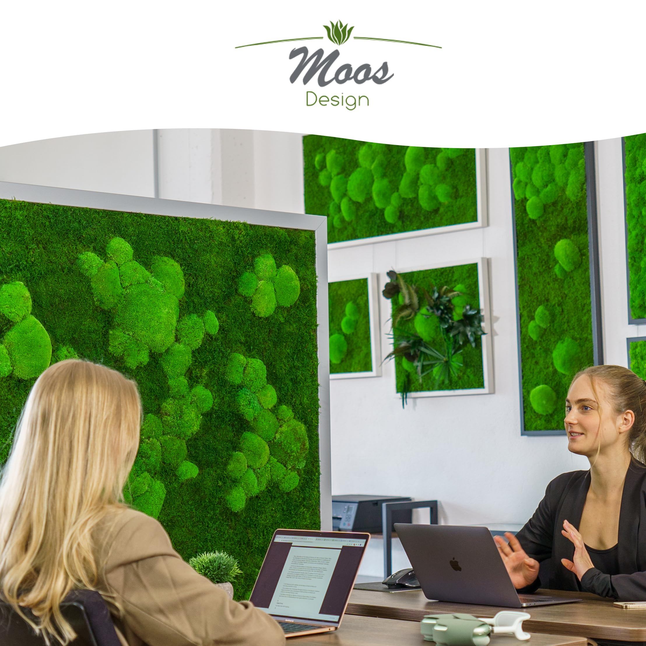 Moosbild Pflanzenbild mit Kugelmoos und Flachmoos versch. Maße günstig (Schwarz, 60x30 cm)