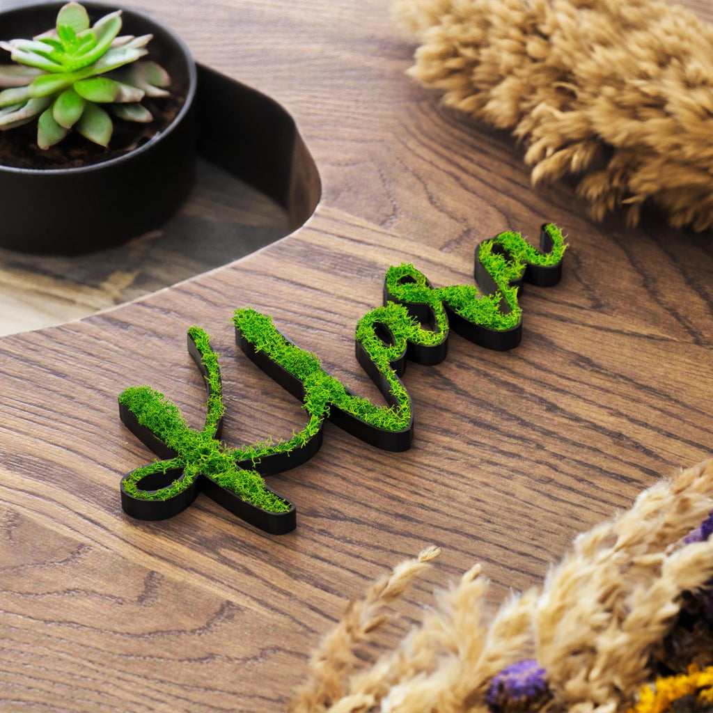 Moosschild Personalisiert Schriftzug Individuell | Moos Türschild und Wandschild für Kinderzimmer und Büros | Nachhaltige und stilvolle Namensschilder Wanddekoration in Schwarz oder Weiß