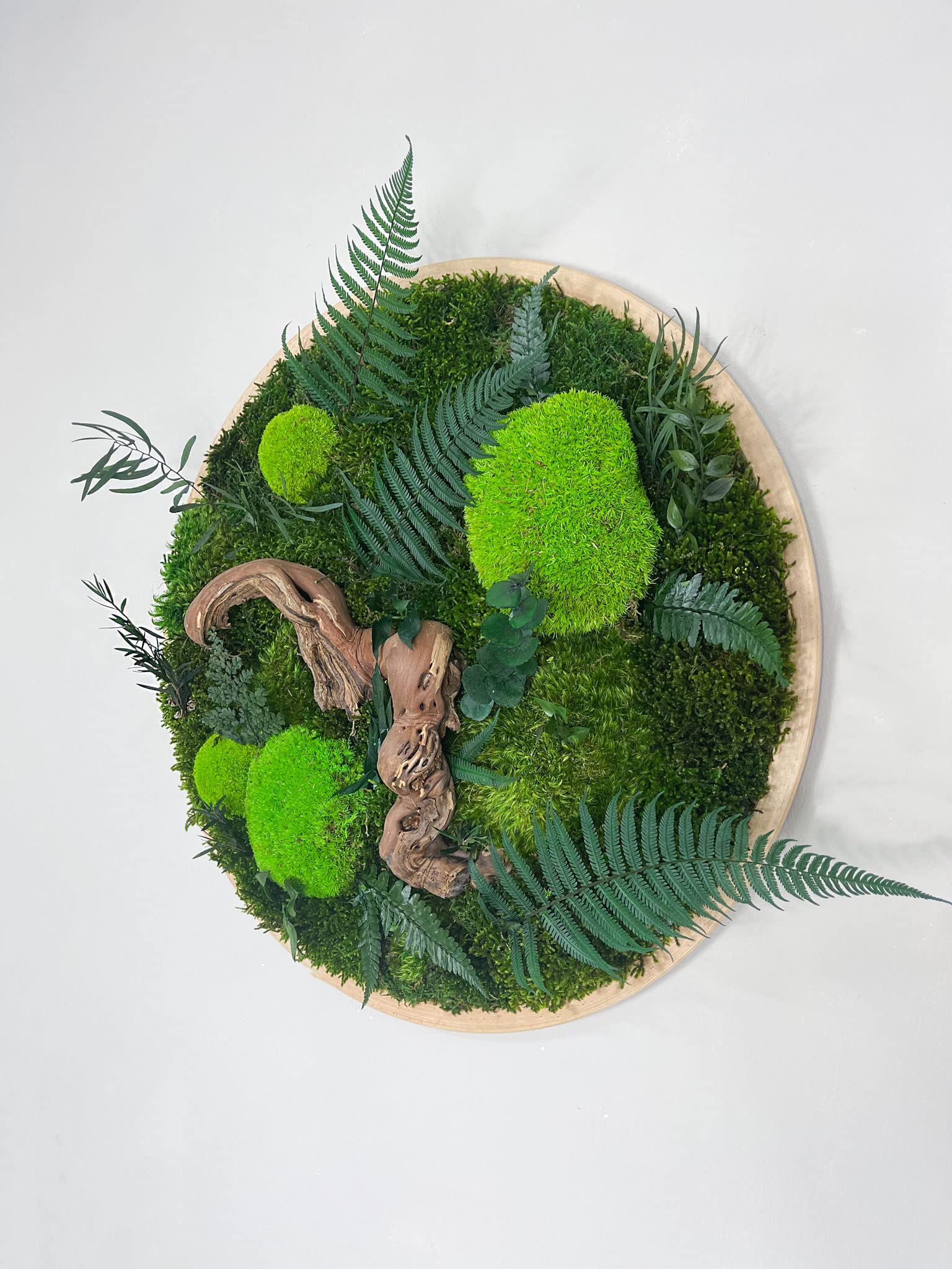 Großer Dschungel Moosbild Rund Holz Rahmen Kreis Gedankenwunder Manufaktur