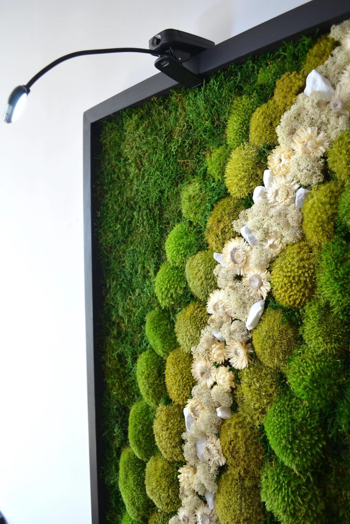 MossPerfect Moosbilder mit Rahmen – Mooswand Lebend White Forest Led-wandkunst Moosbild – Moosbilder – Bild Moos – Moss Bild Wand – Moosbilder – Pflanzenbilder – 152x106x4cm
