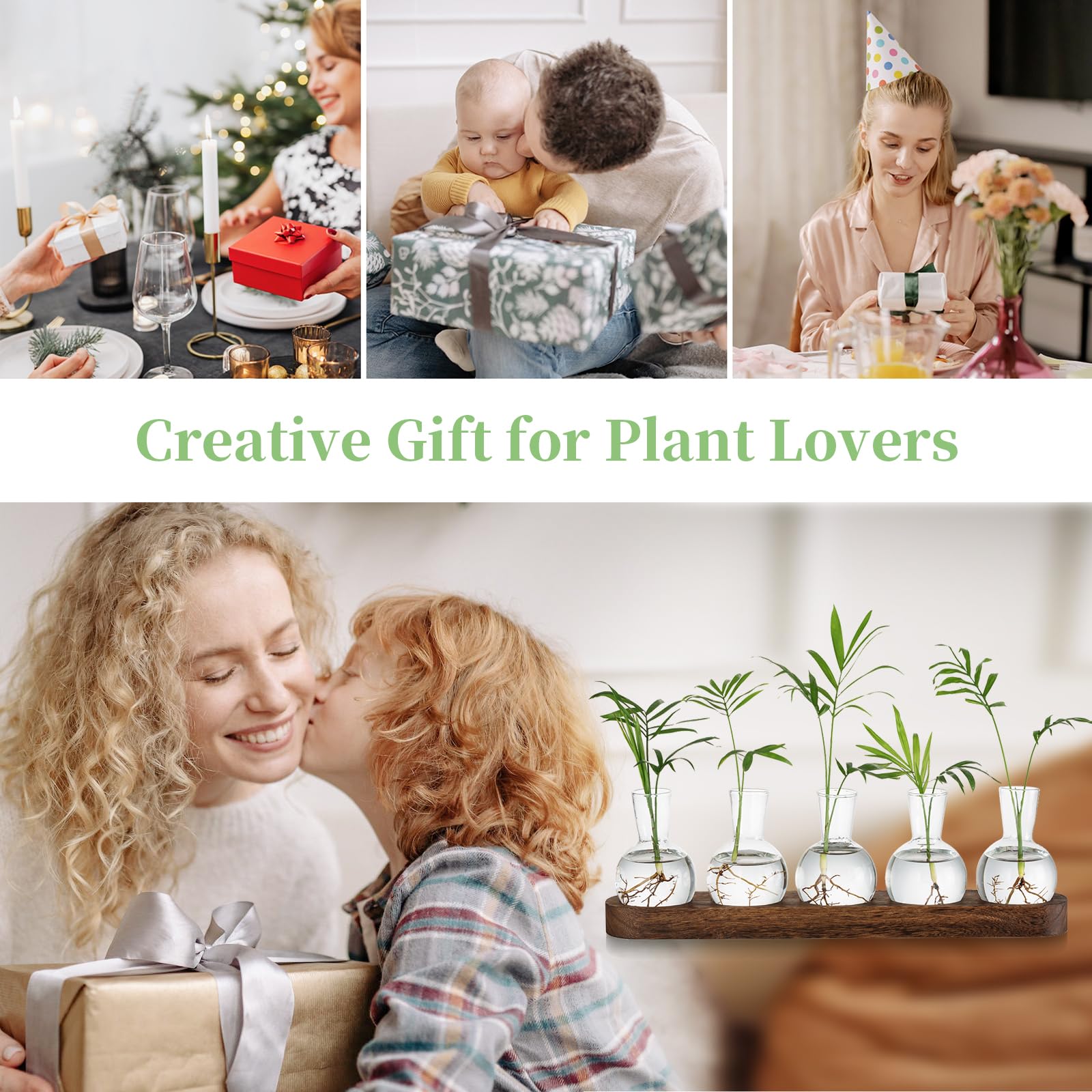 Glasseam Pflanzen Terrarium Glas Vasen, Propagation Station Glasvase Klein Blumenvasen Set, Hydrokultur Vase mit Hölzernen Tablett, Desktop Deko Vasen Glasterrarium Hydrovase für Wohnzimmer Büro Deko