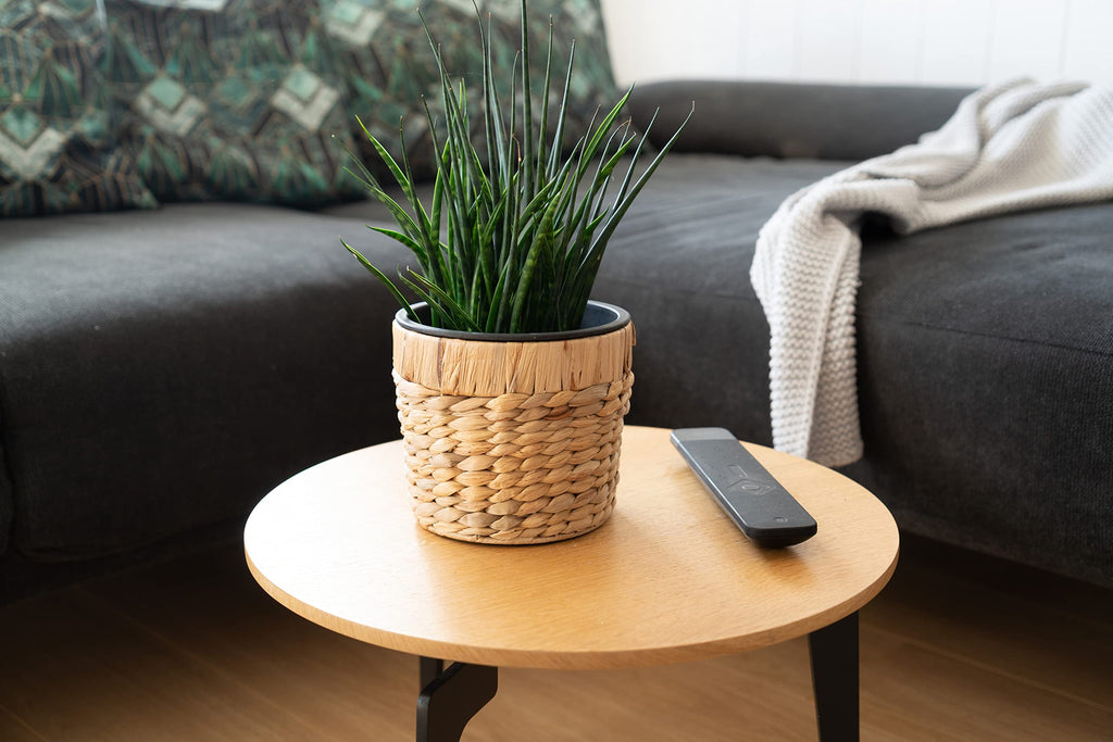 Decorasian 3er Set Blumentopf rund geflochten aus Seegras mit Kunststoffeinsatz zum bepflanzen - Pflanztopf - 16cm + 20cm + 26cm