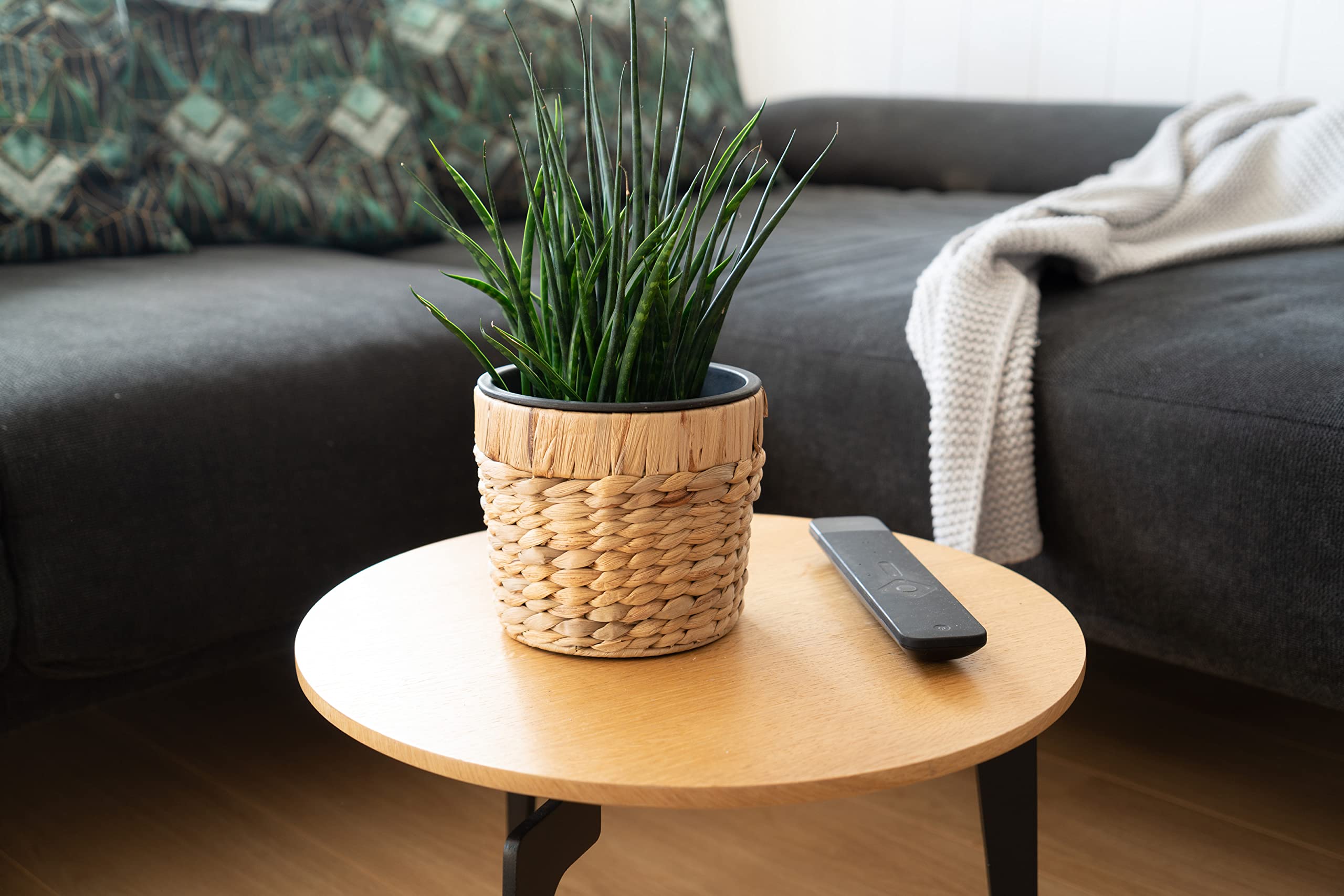 Decorasian 3er Set Blumentopf rund geflochten aus Seegras mit Kunststoffeinsatz zum bepflanzen - Pflanztopf - 16cm + 20cm + 26cm