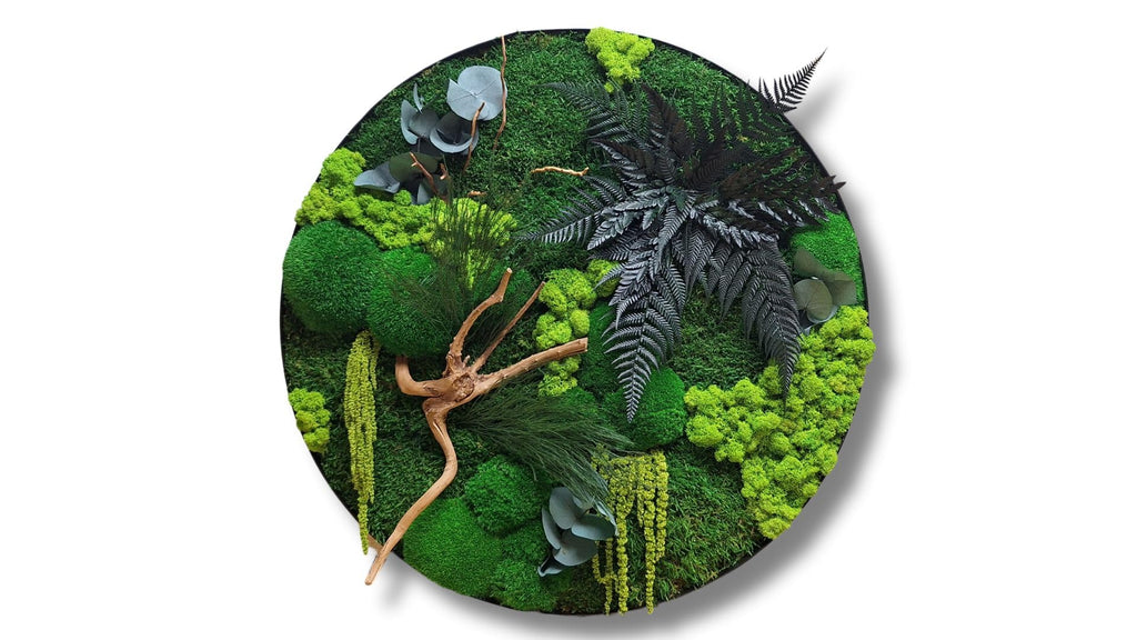 HelloMoss Moosbilder mit Rahmen 60cm - Moosbild XXL mit Island Moos Konserviert - Luxus Deko für Ihr Zuhause - Mooswand Deko Wohnzimmer Groß