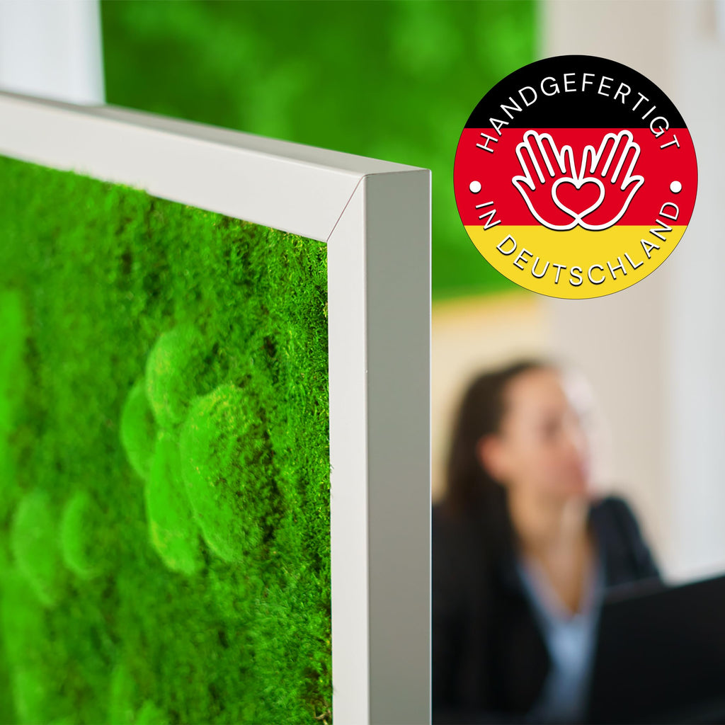 Moosbild Pflanzenbild mit Kugelmoos und Flachmoos versch. Maße günstig (Schwarz, 60x30 cm)