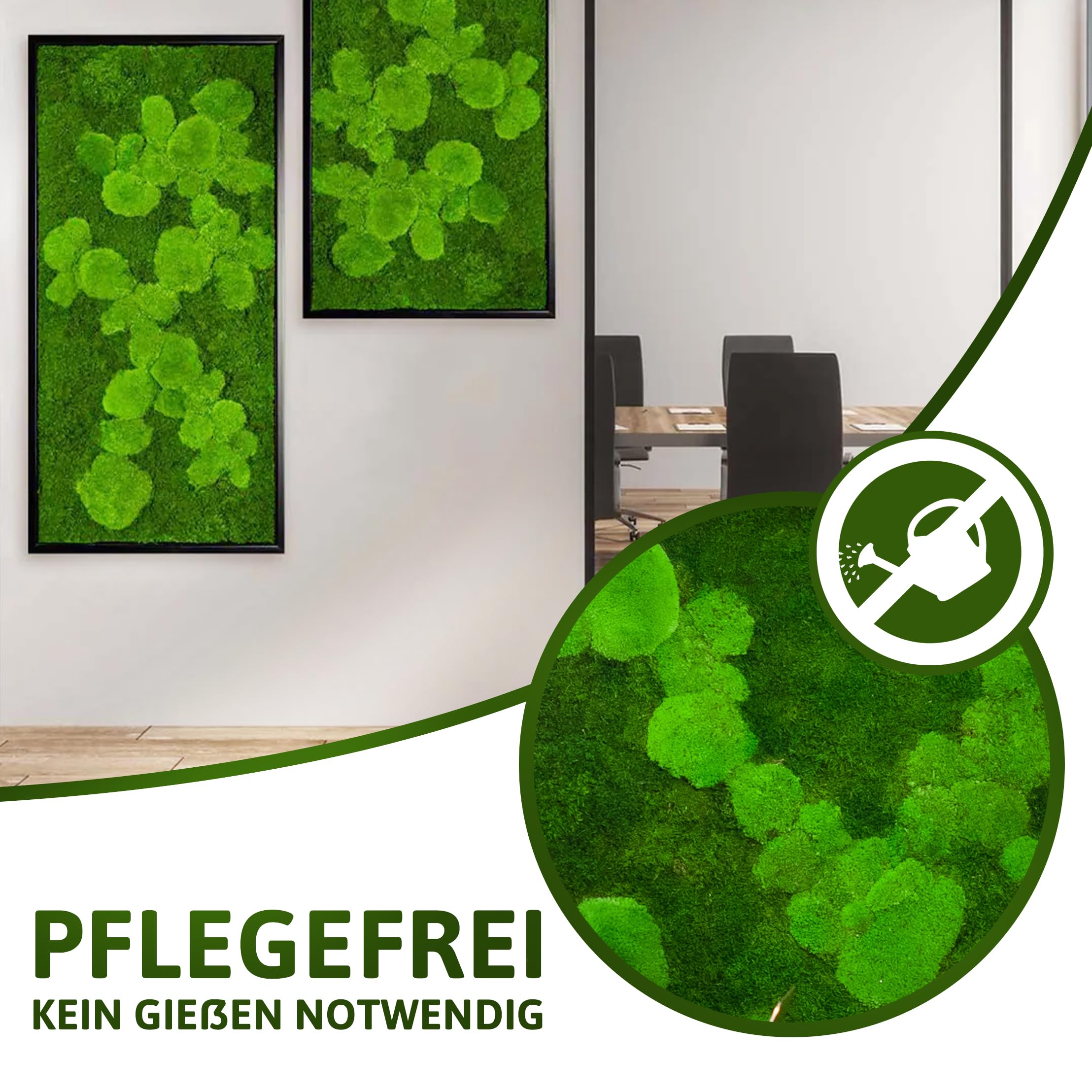 Moosbild Pflanzenbild mit Kugelmoos und Flachmoos versch. Maße günstig (Schwarz, 60x30 cm)