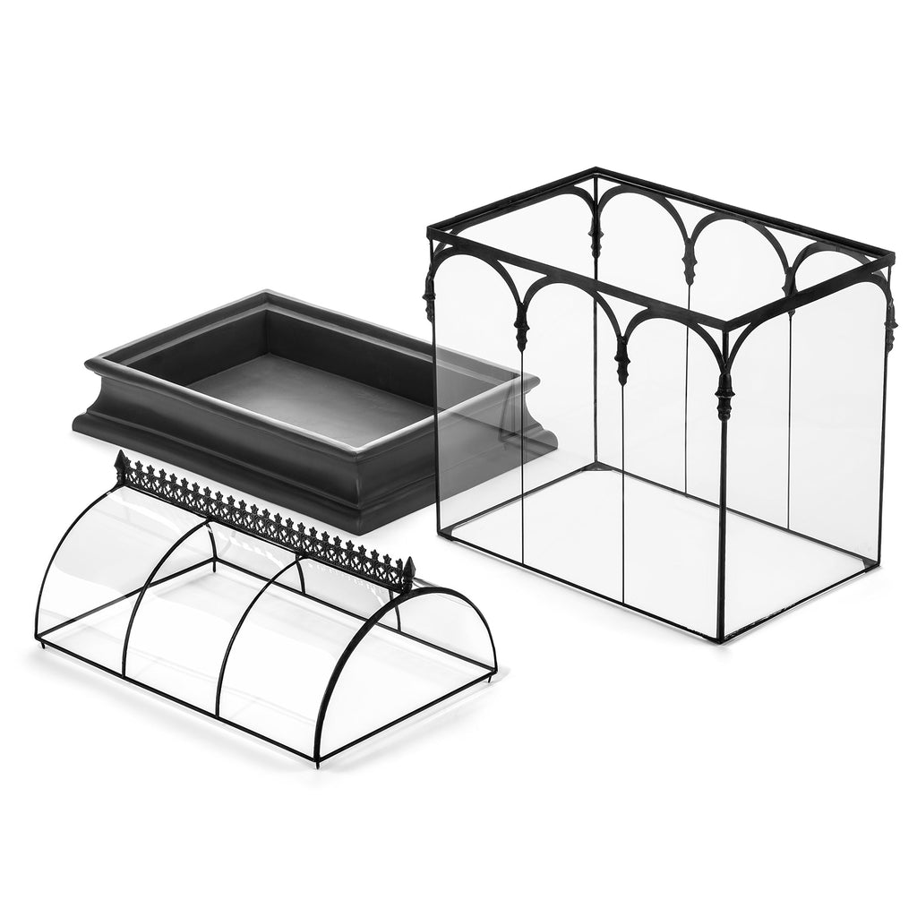 H Potter Terrarium Pflanzgefäß Glas Container Wardian Fall