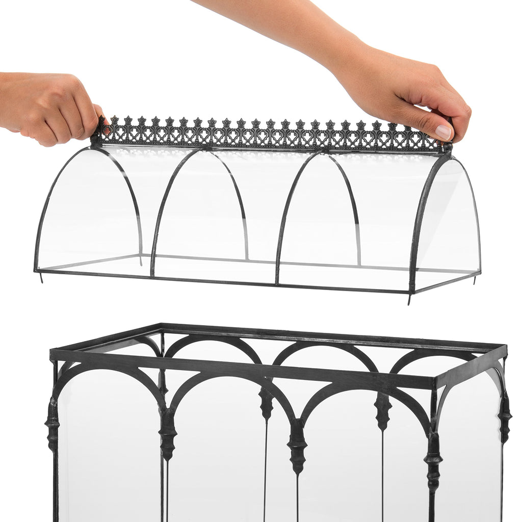 H Potter Terrarium Pflanzgefäß Glas Container Wardian Fall