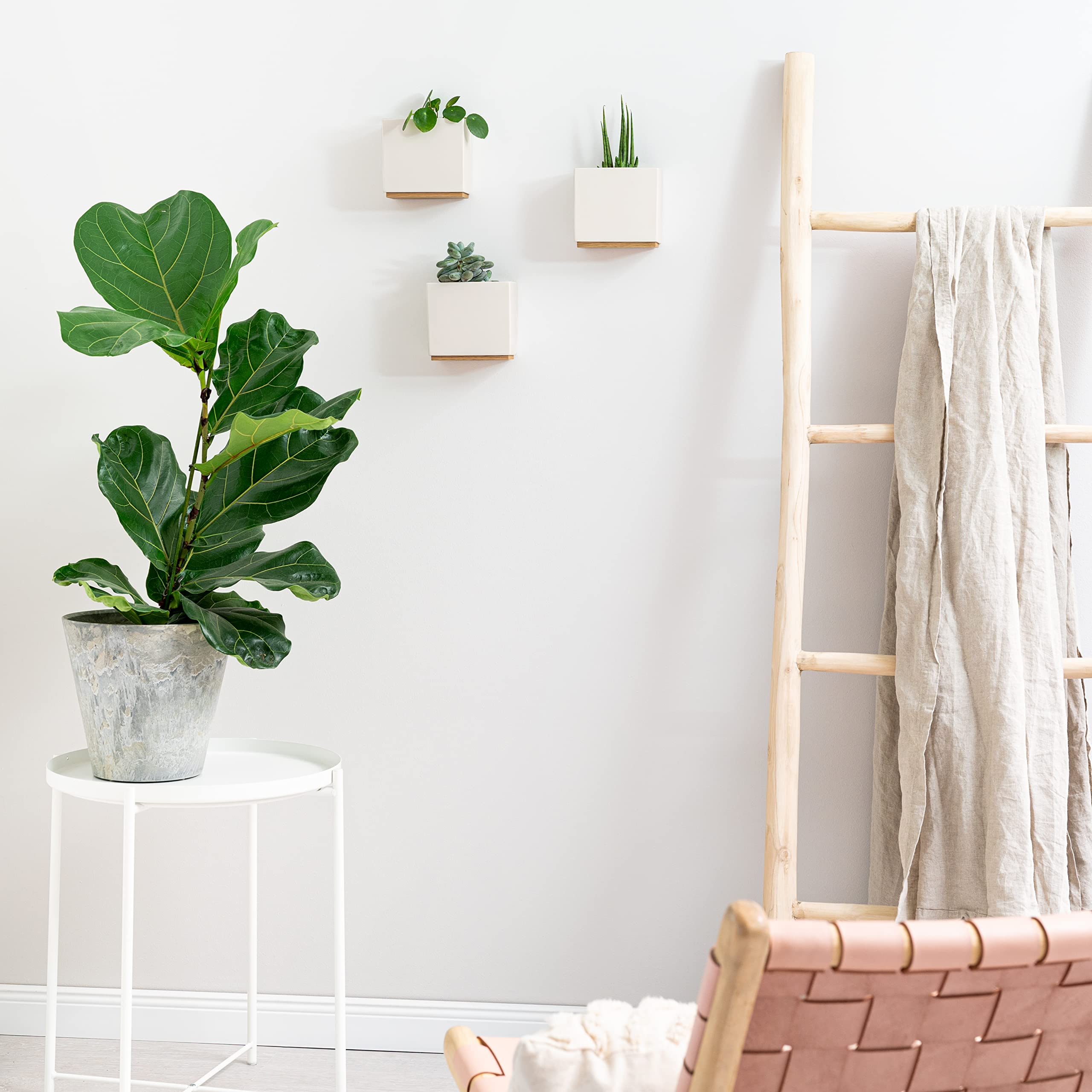 Kazai. Wandvasen -Alma- | Moderne Hängende Blumentöpfe für die Wand | 3-teiliges Übertopf-Set aus hochwertigem Resin für Zimmerpflanzen, Kunstpflanzen, Blumen u.m. | Crème