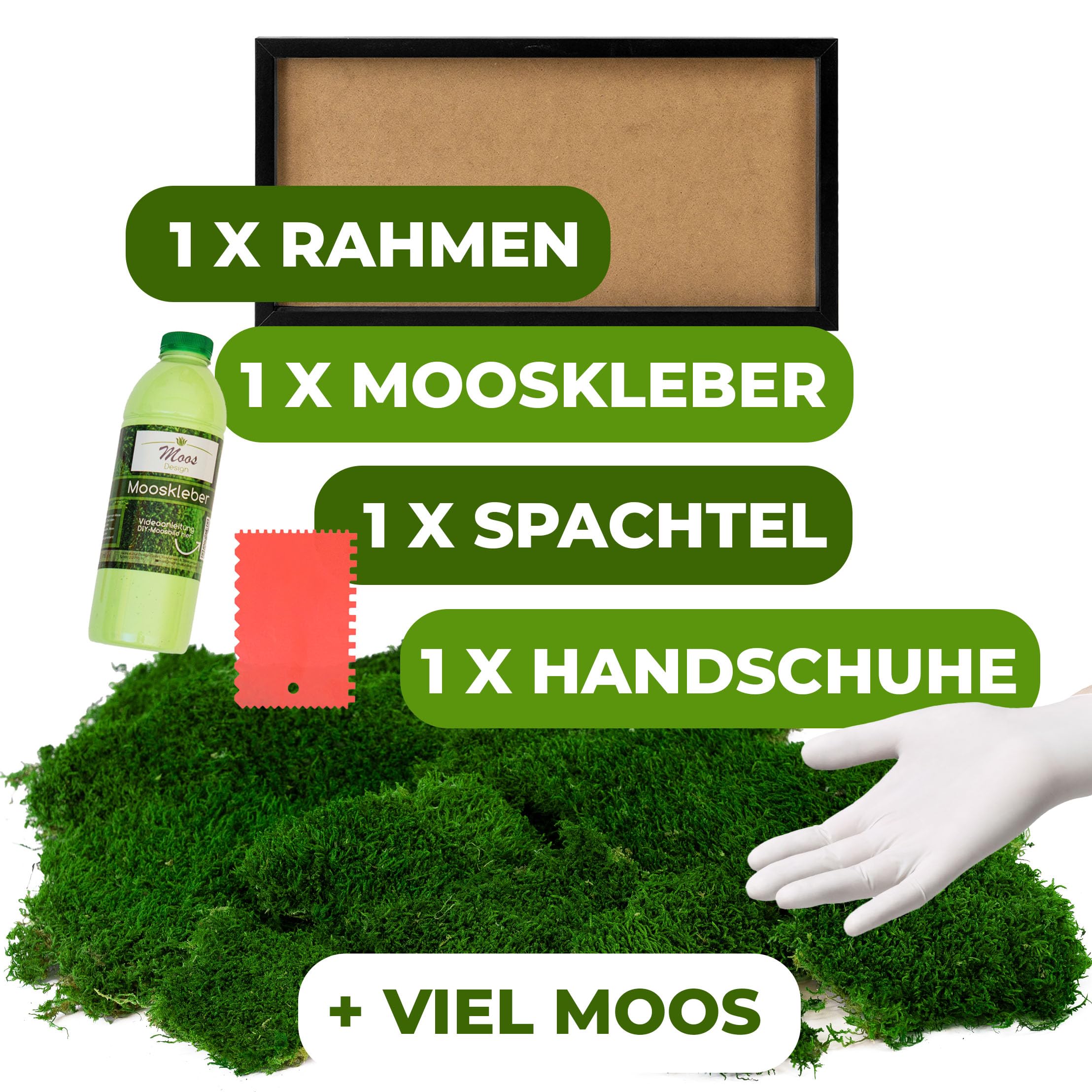 DIY Moosbild 100% Flachmoos, Moosbild selber Machen, Wandbild selber kleben, Do it Yourself Set Moos kleben Wanddeko selbst herstellen (Schwarz, 60x30 cm)