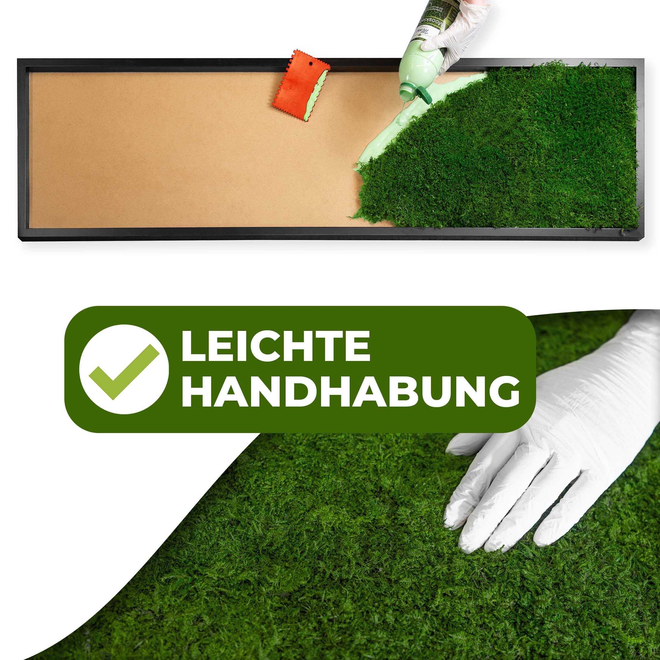 DIY Moosbild 100% Flachmoos, Moosbild selber Machen, Wandbild selber kleben, Do it Yourself Set Moos kleben Wanddeko selbst herstellen (Schwarz, 60x30 cm)