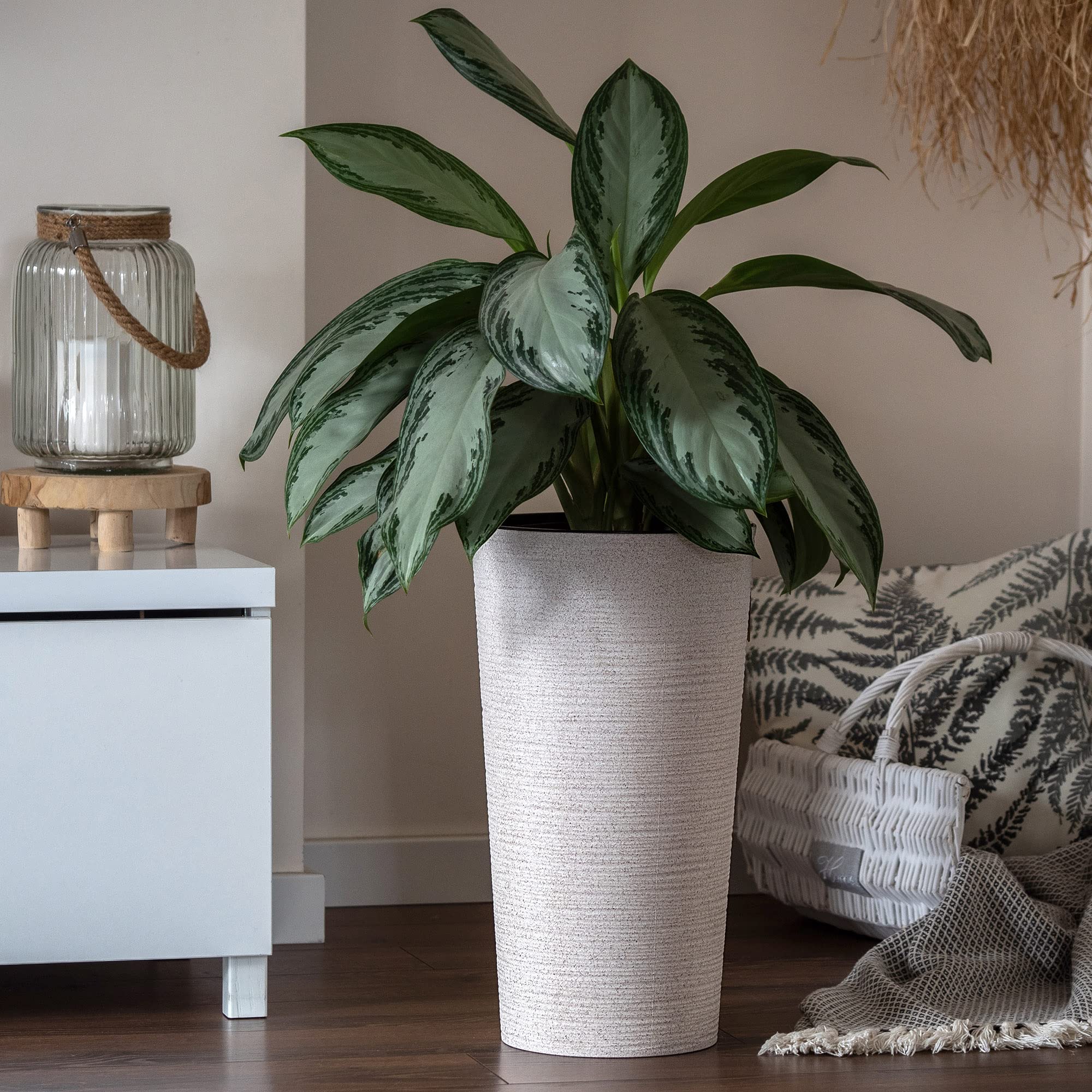 KADAX Pflanzkübel mit Innentopf Creme Ø 30 cm, Höhe 57.5 cm – Moderner Pflanztopf mit Einsatz, Blumentopf aus robuster Kunststoff für Innen- und Außenbereich, ideal für Wohnzimmer, Balkon, Büro