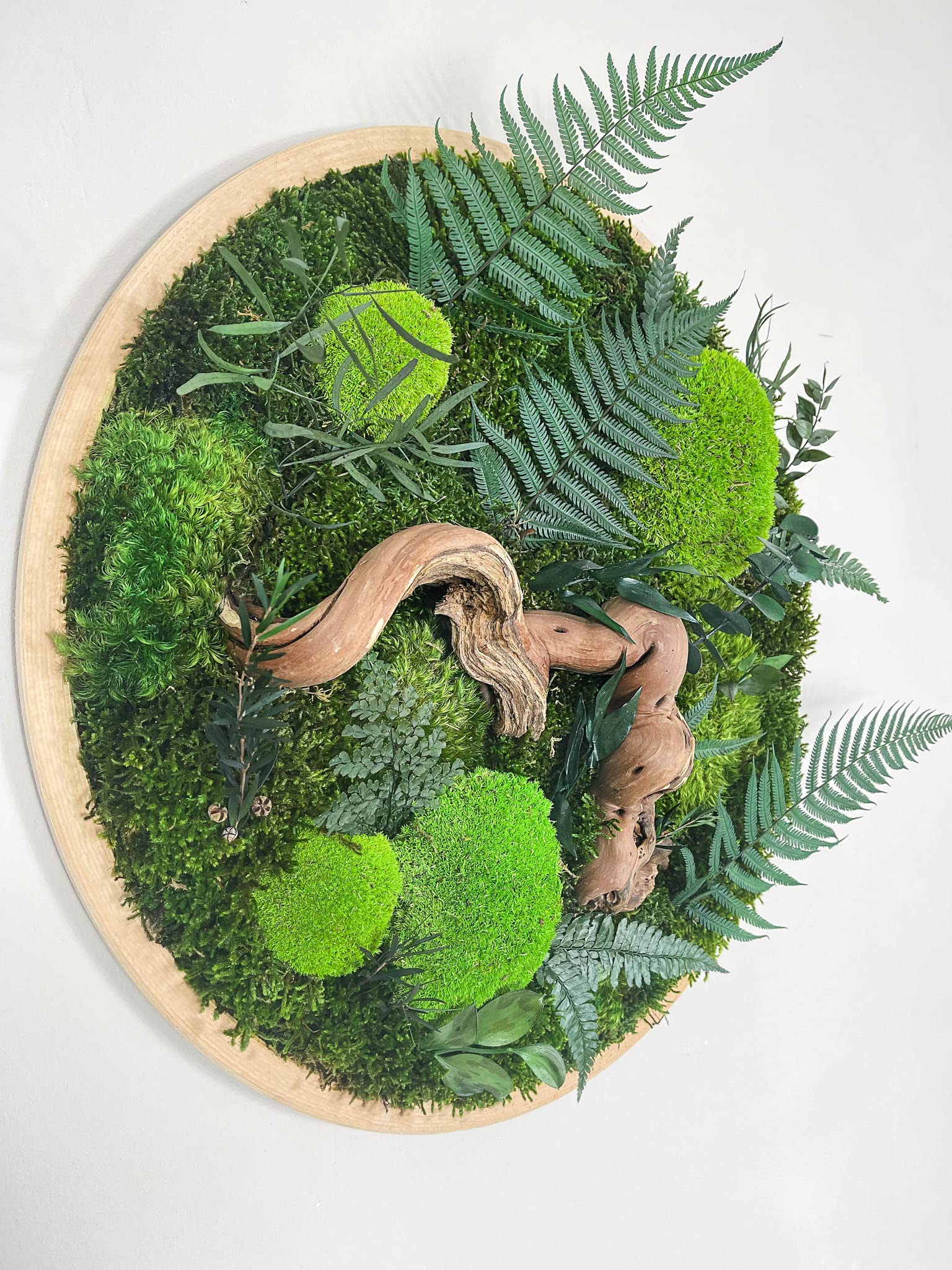 Großer Dschungel Moosbild Rund Holz Rahmen Kreis Gedankenwunder Manufaktur