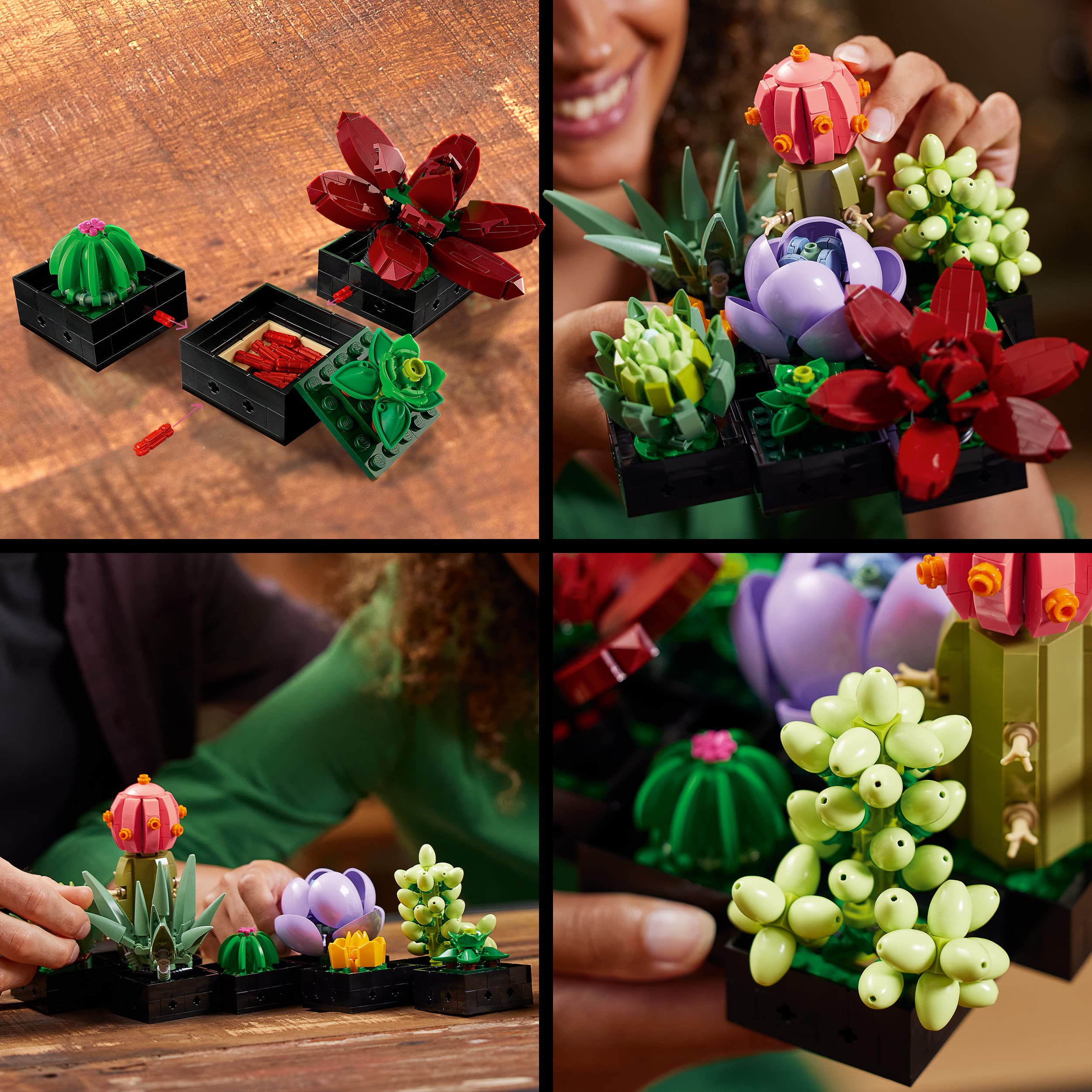 LEGO Icons Succulents Kunstpflanzen-Set 10309 + Rosenstrauß 10328, Kunstblumen-Set für Erwachsene, Botanische Sammlung, Wohnaccessoires, Geschenke für Frauen, Männer, Sie oder Ihn, entspannende Aktivi