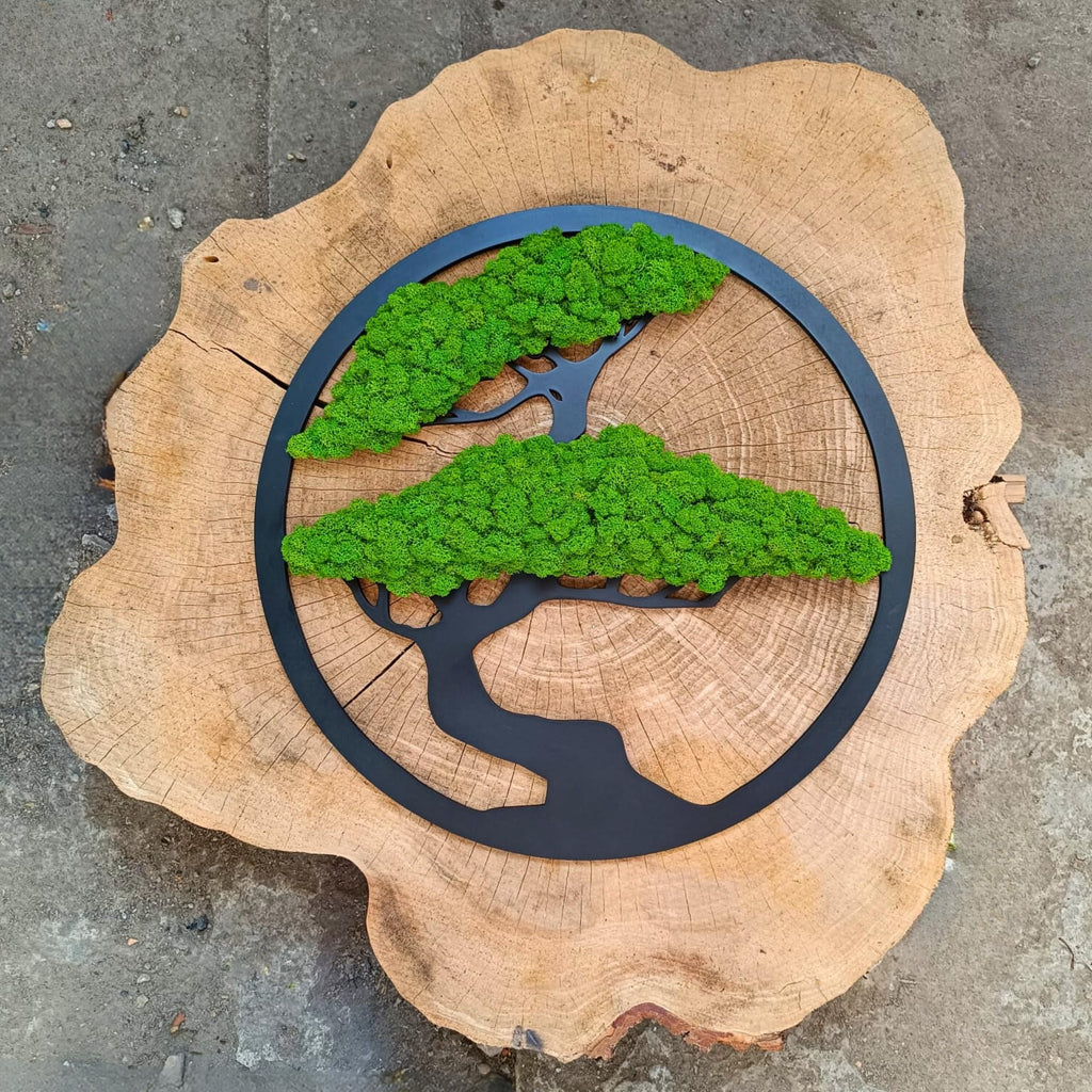 Scandinavian Moss Moosbilder in Form Eines Baumes - Schön Aussehender Wand Baum - Bringen Sie Leben Ihre Wohnung - Wandbild aus Natürlichen Rohstoffen und Deko Moos 50cm