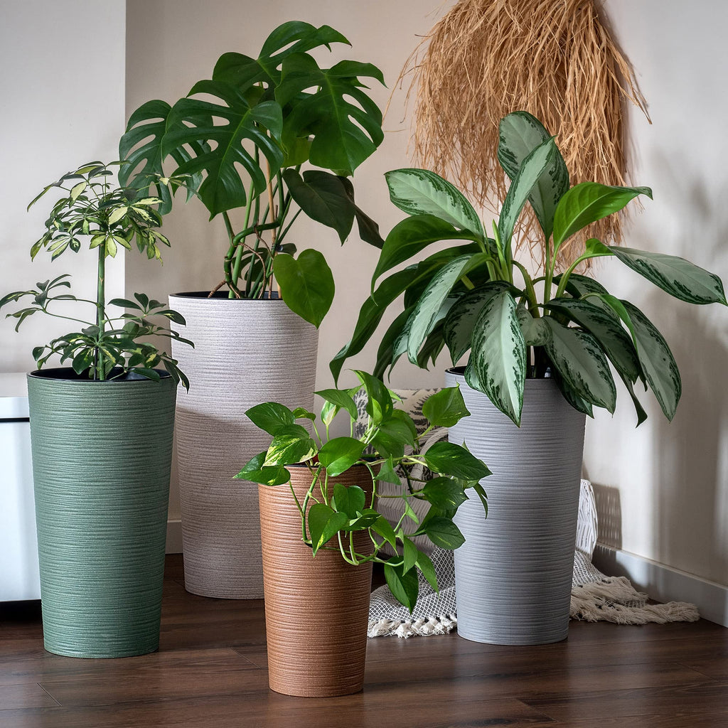 KADAX Pflanzkübel mit Innentopf Creme Ø 30 cm, Höhe 57.5 cm – Moderner Pflanztopf mit Einsatz, Blumentopf aus robuster Kunststoff für Innen- und Außenbereich, ideal für Wohnzimmer, Balkon, Büro