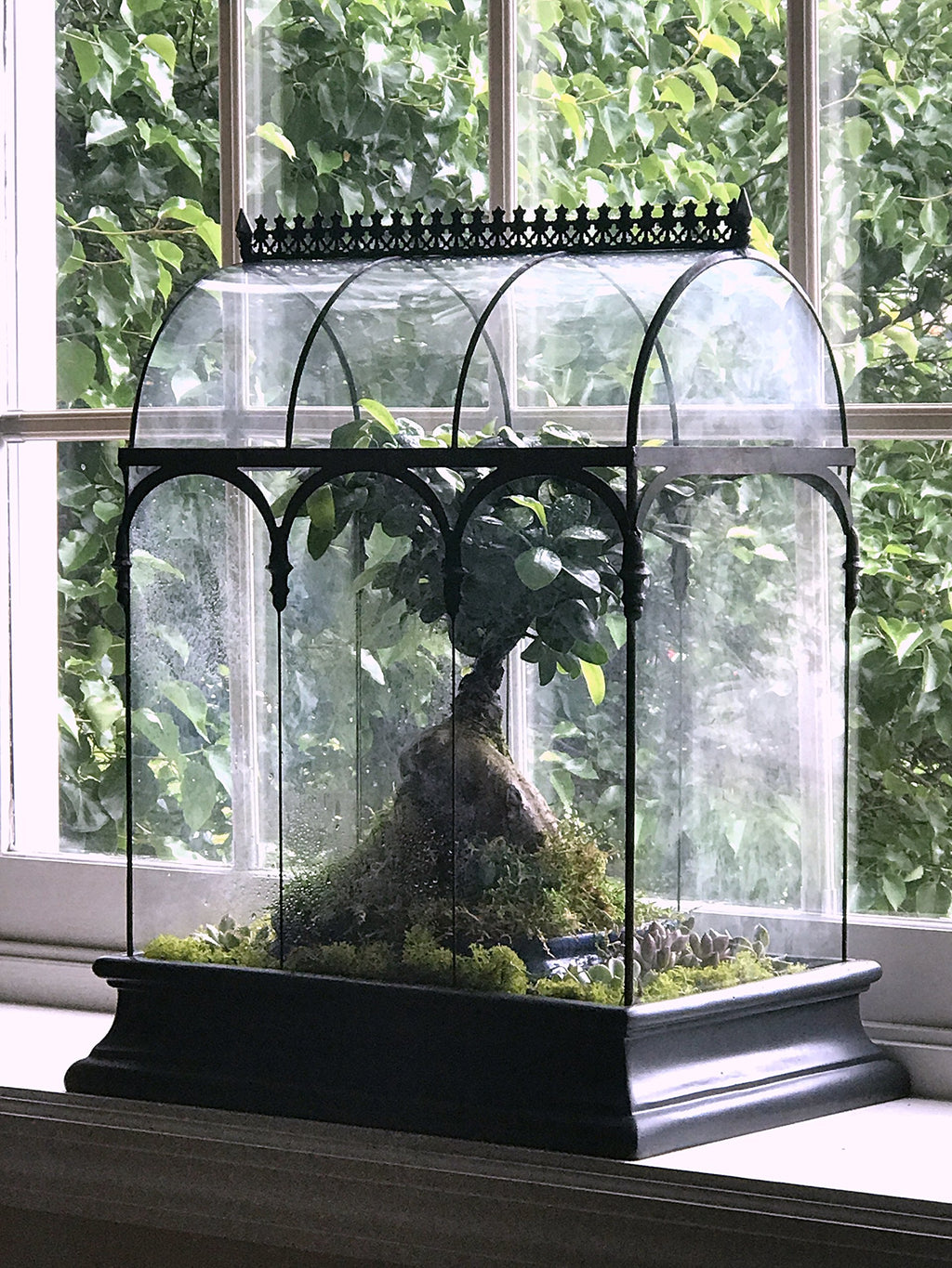 H Potter Terrarium Pflanzgefäß Glas Container Wardian Fall